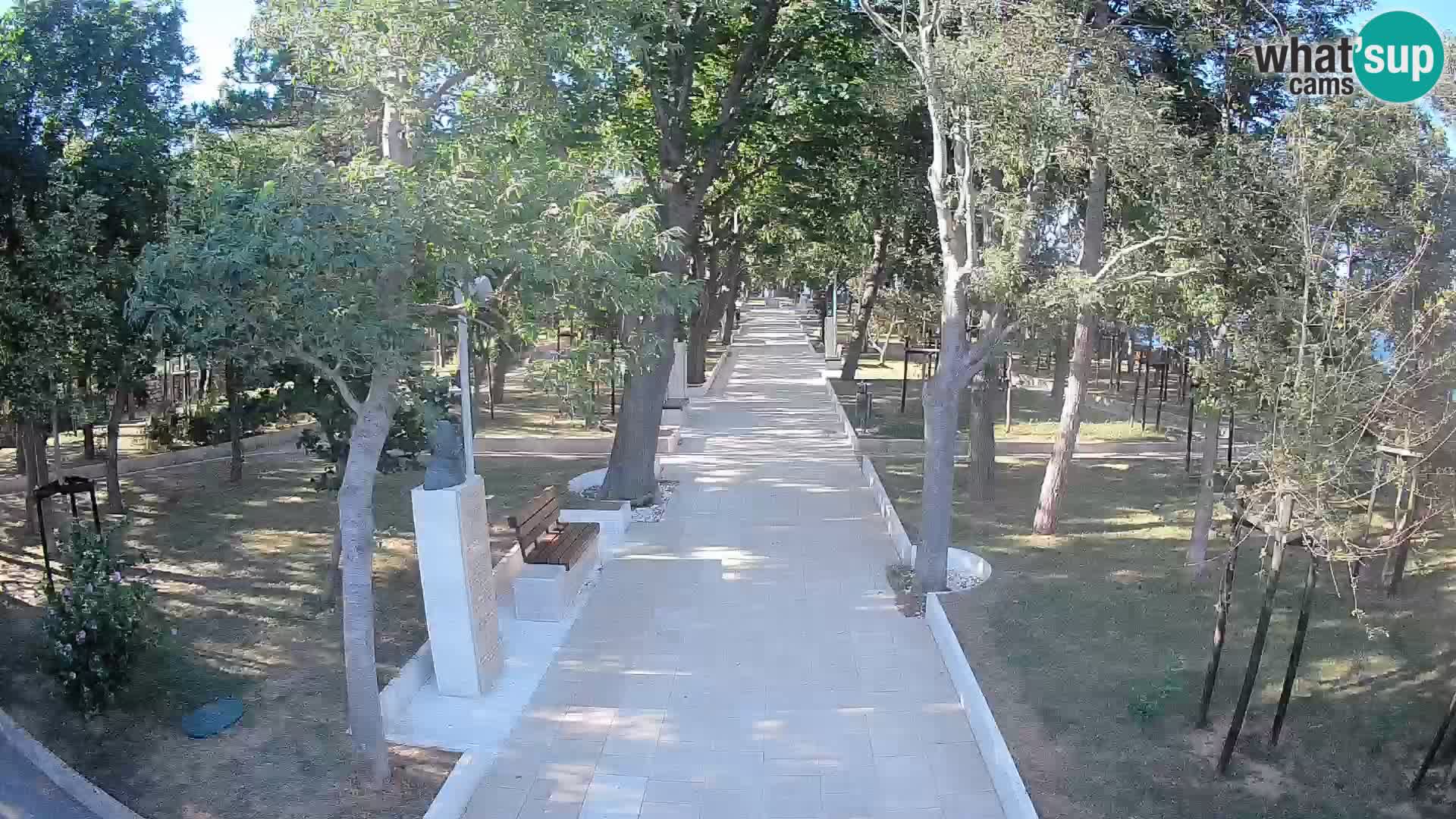 Webcam Parco degli Scrittori Segna – Diretta sul Mare
