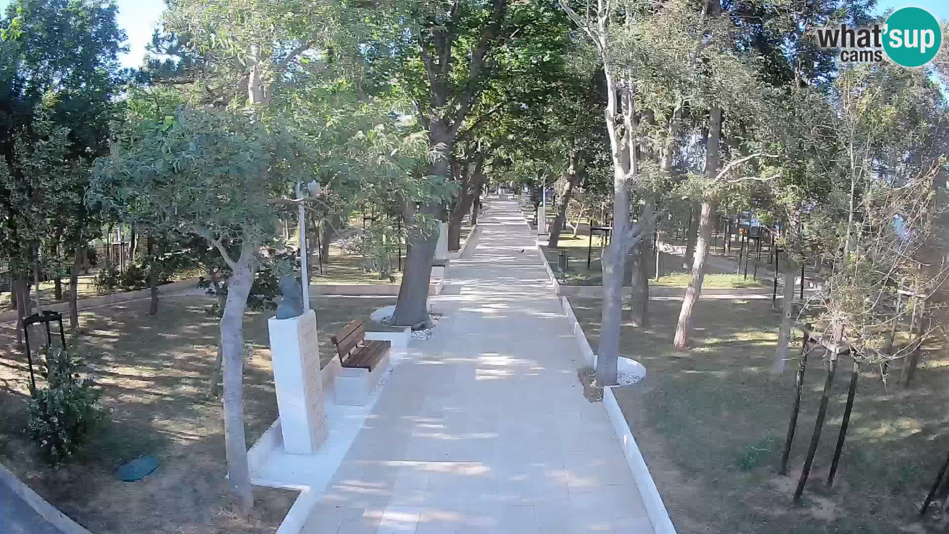 Webcam Parco degli Scrittori Segna – Diretta sul Mare