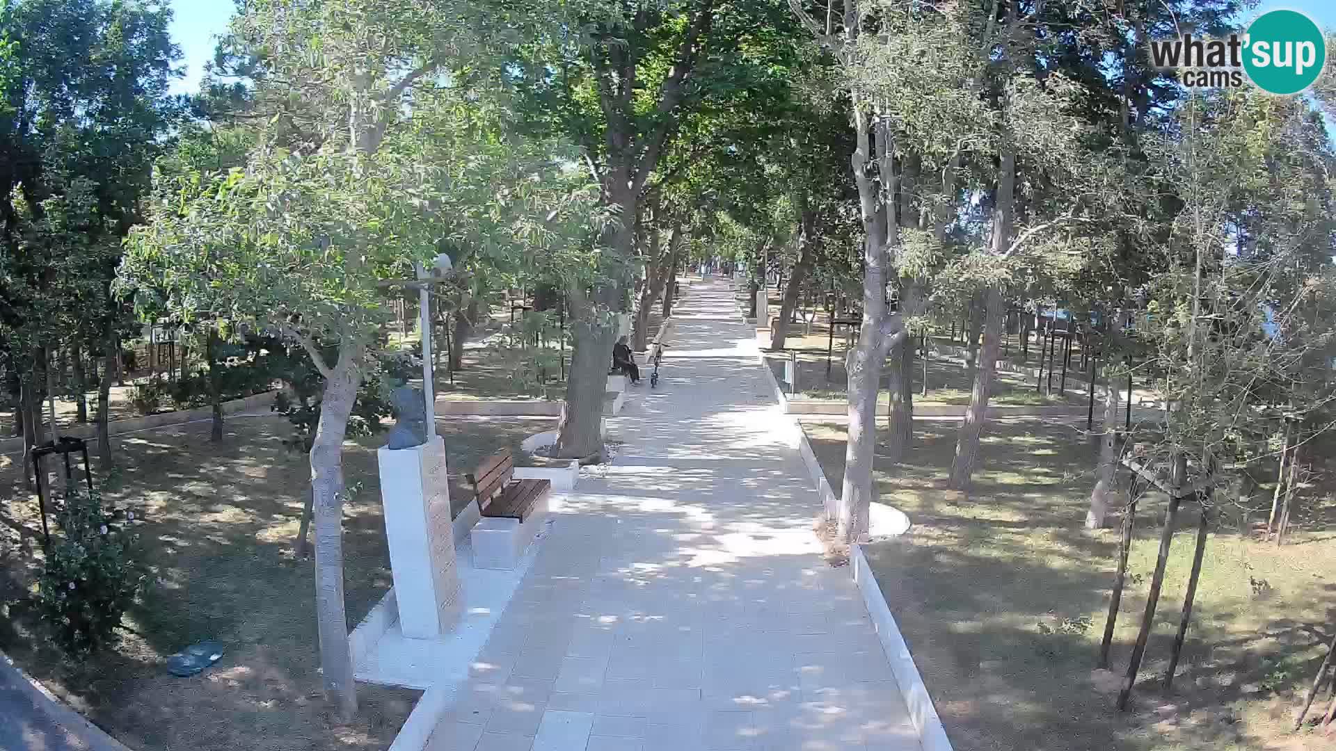 Webcam Schriftstellerpark Senj – Live am Meer