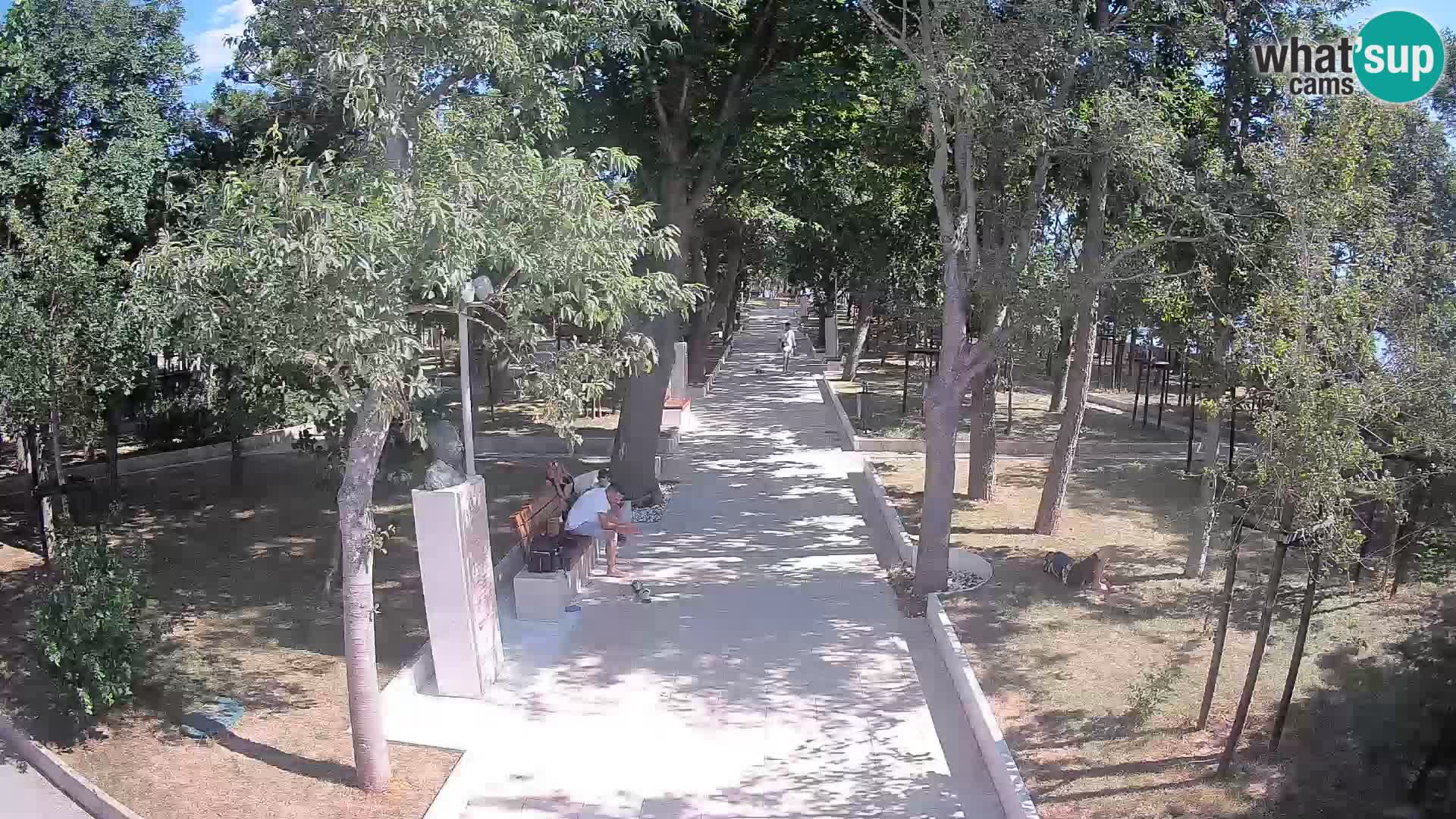 Webcam Schriftstellerpark Senj – Live am Meer