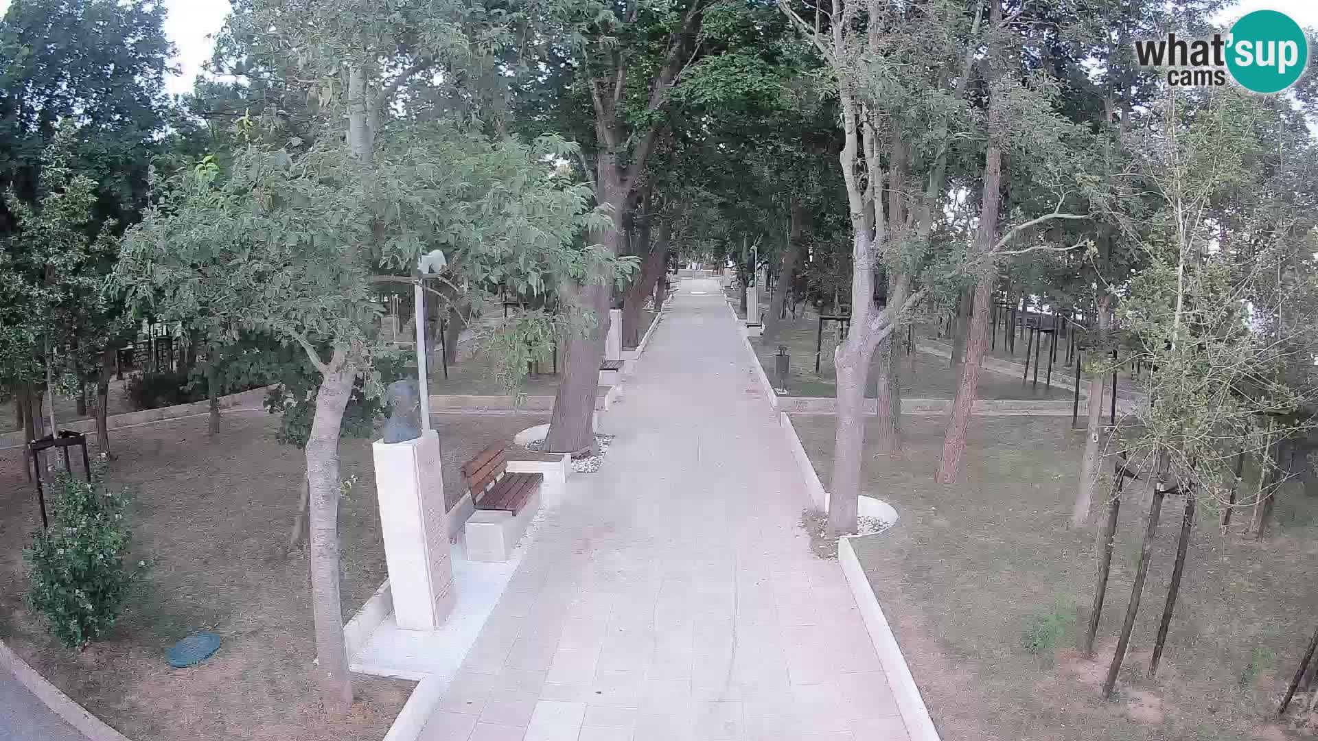 Writers’ Park Webcam Senj – Live by the Sea