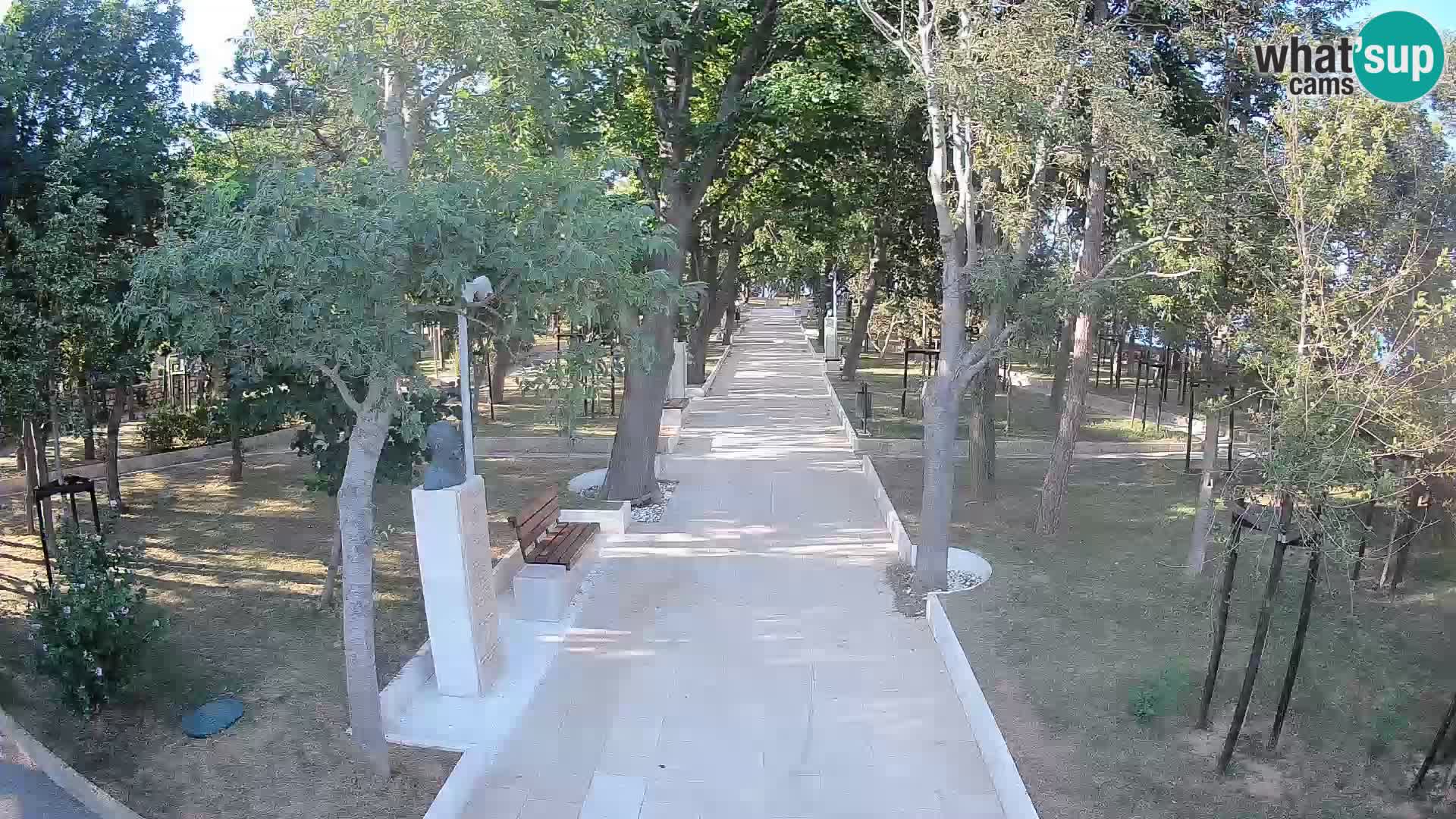 Webcam Parco degli Scrittori Segna – Diretta sul Mare
