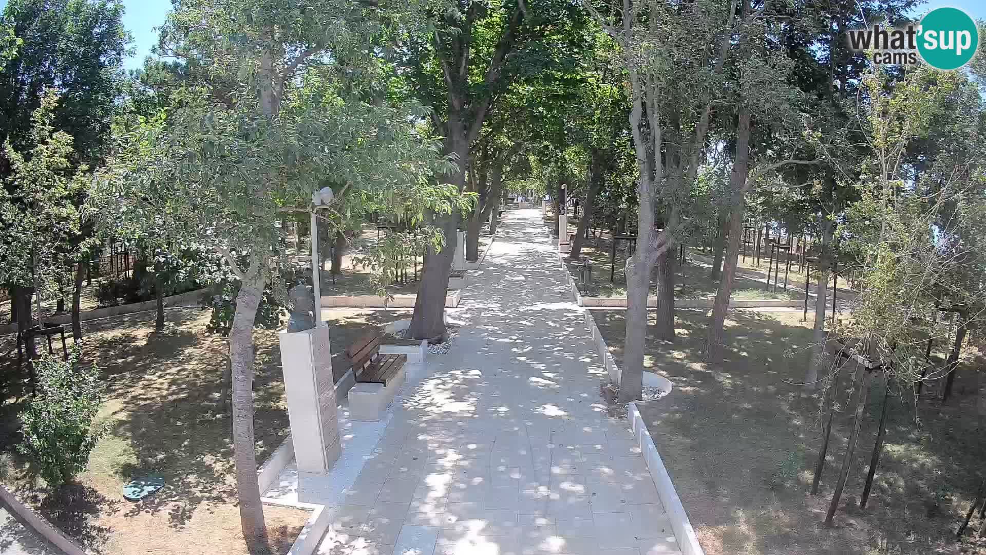 Webcam Parco degli Scrittori Segna – Diretta sul Mare