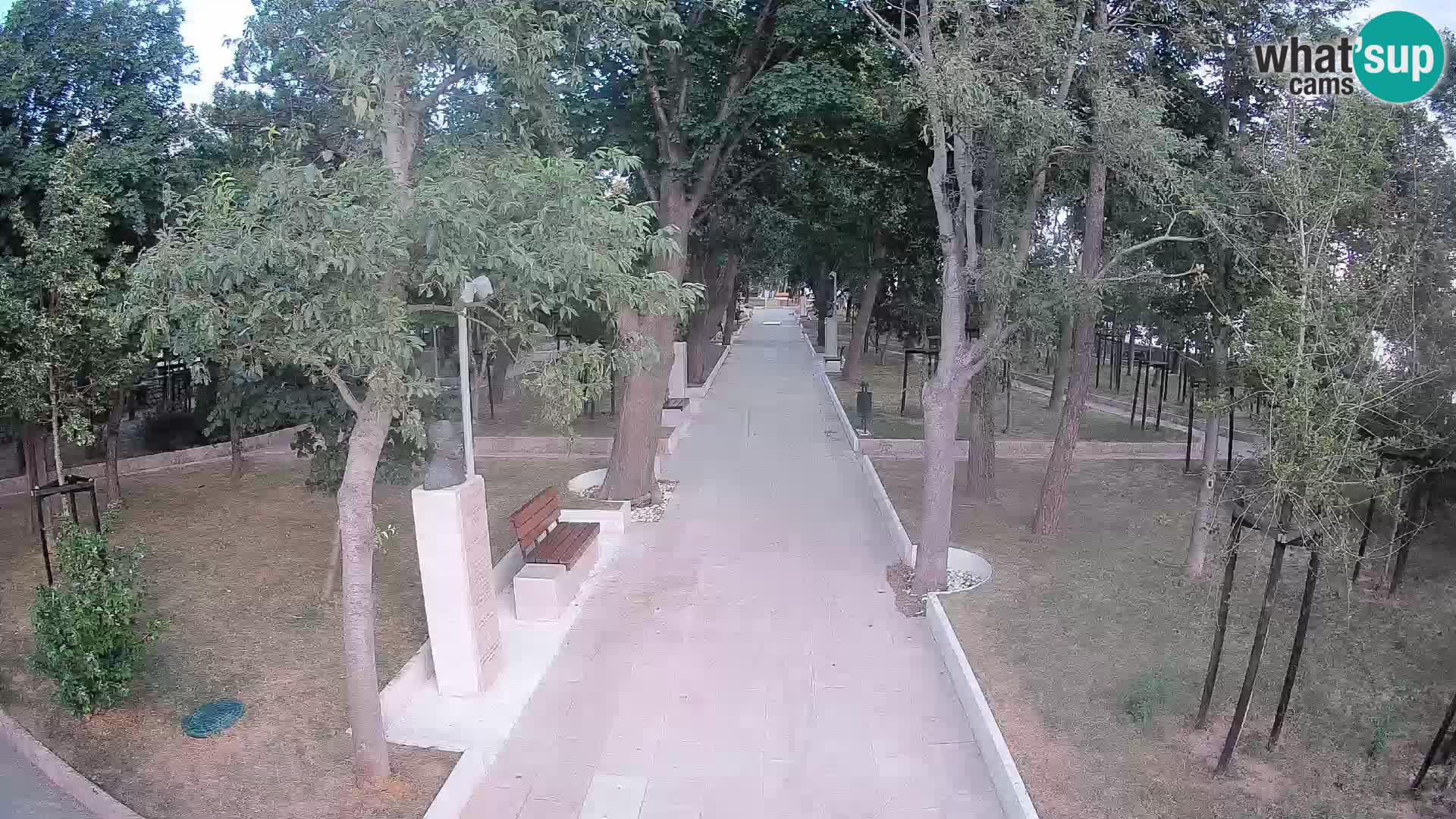 Webcam Parco degli Scrittori Segna – Diretta sul Mare