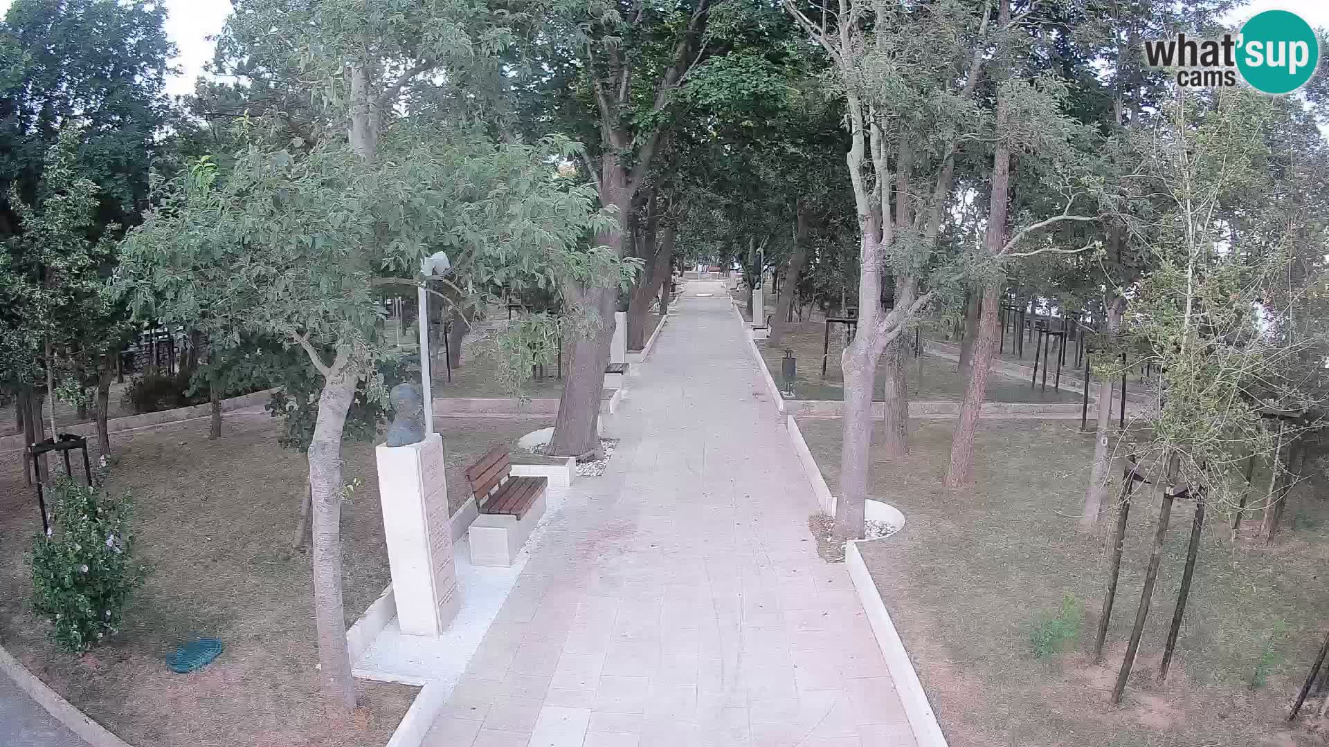 Webcam Parco degli Scrittori Segna – Diretta sul Mare