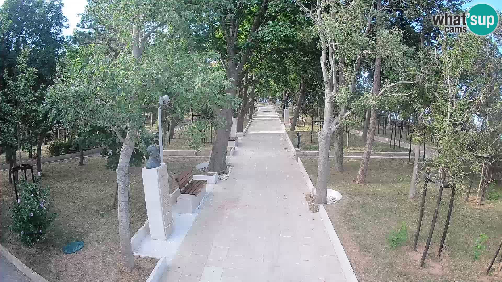 Webcam Parco degli Scrittori Segna – Diretta sul Mare