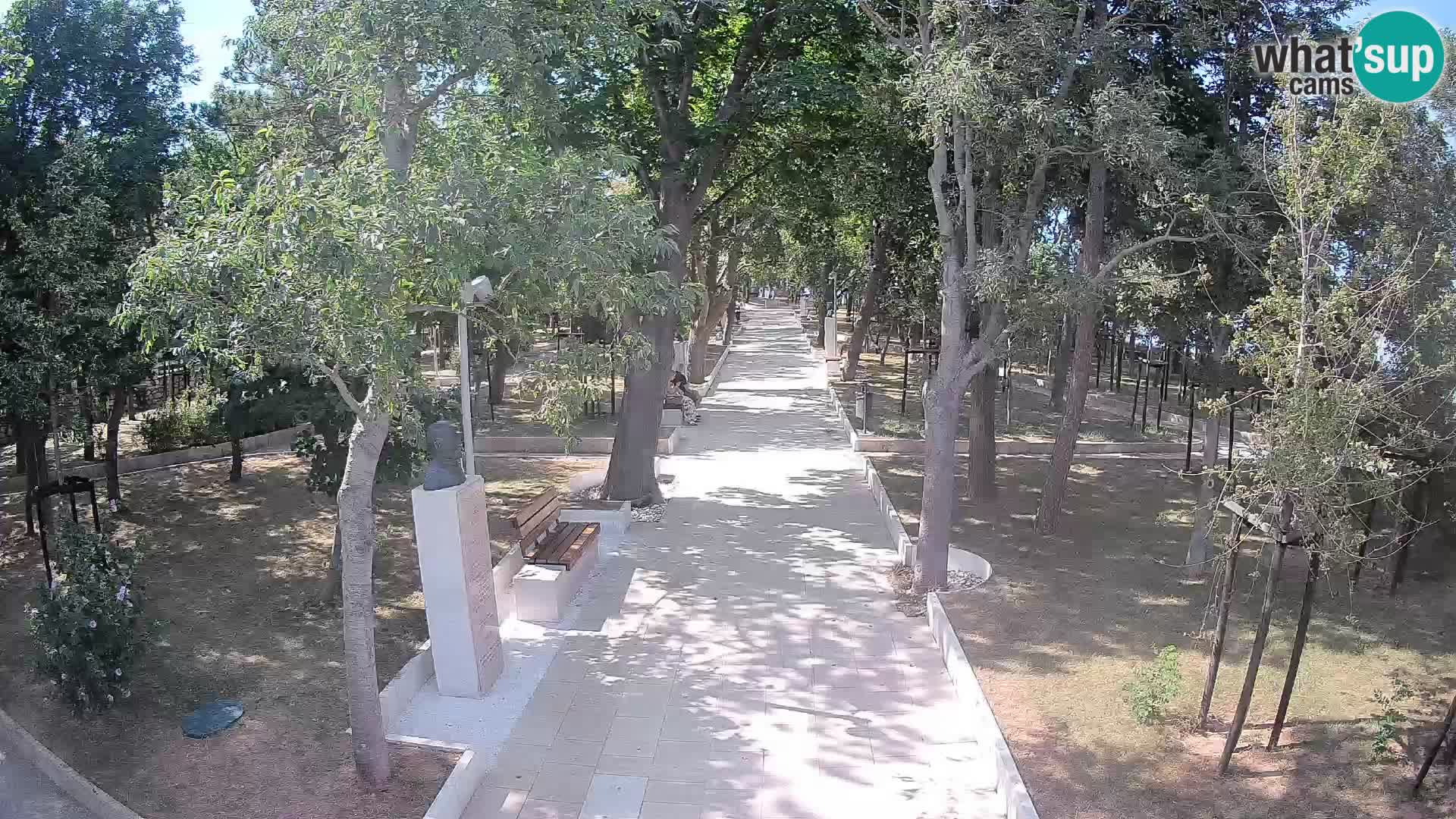 Webcam Schriftstellerpark Senj – Live am Meer