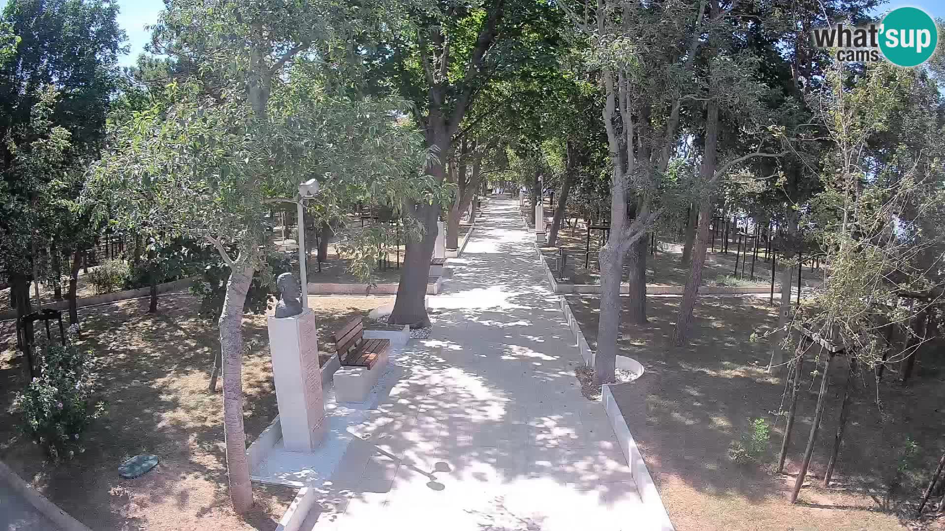 Webcam Parco degli Scrittori Segna – Diretta sul Mare