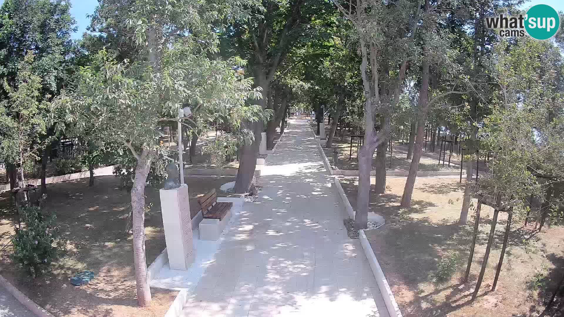Webcam Parco degli Scrittori Segna – Diretta sul Mare
