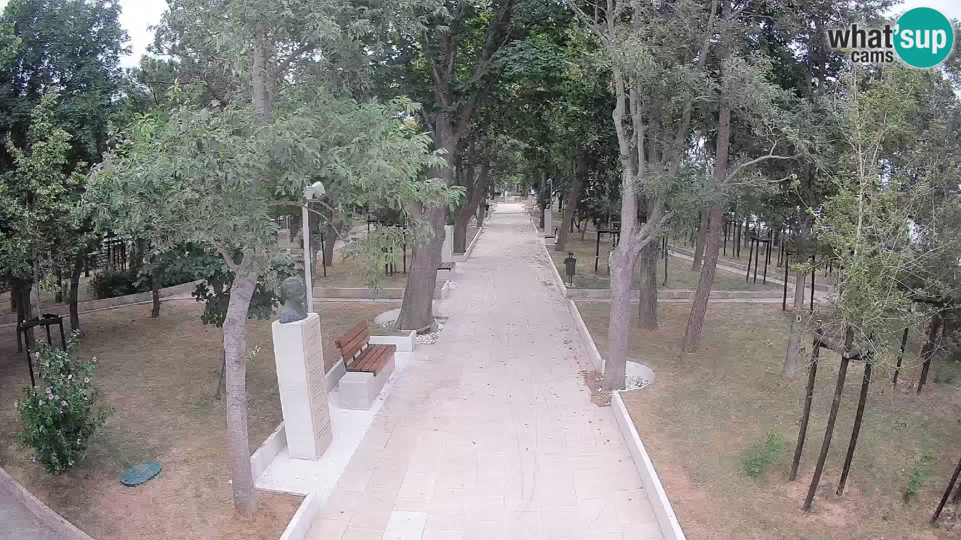Webcam Parco degli Scrittori Segna – Diretta sul Mare
