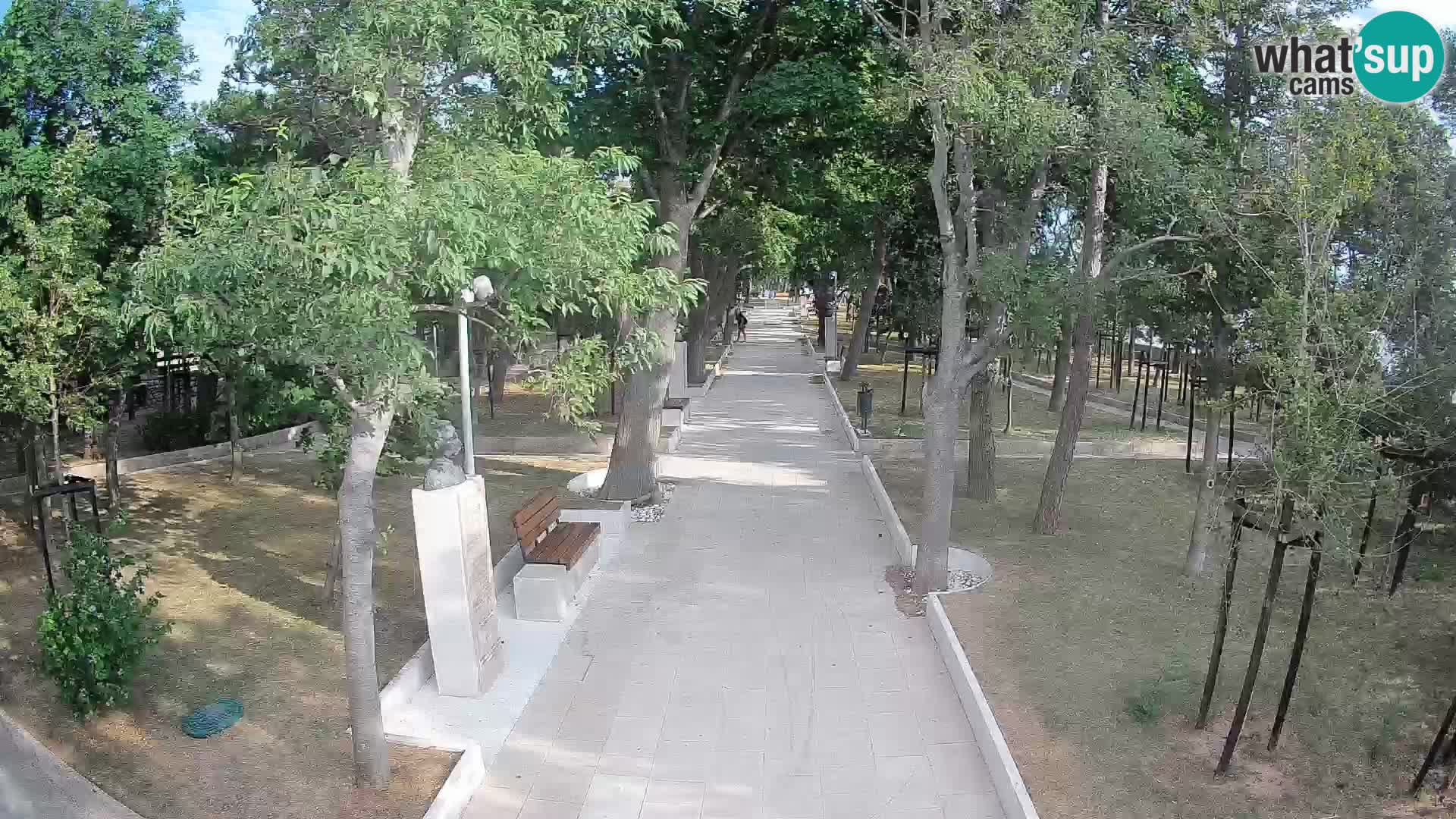 Webcam Schriftstellerpark Senj – Live am Meer