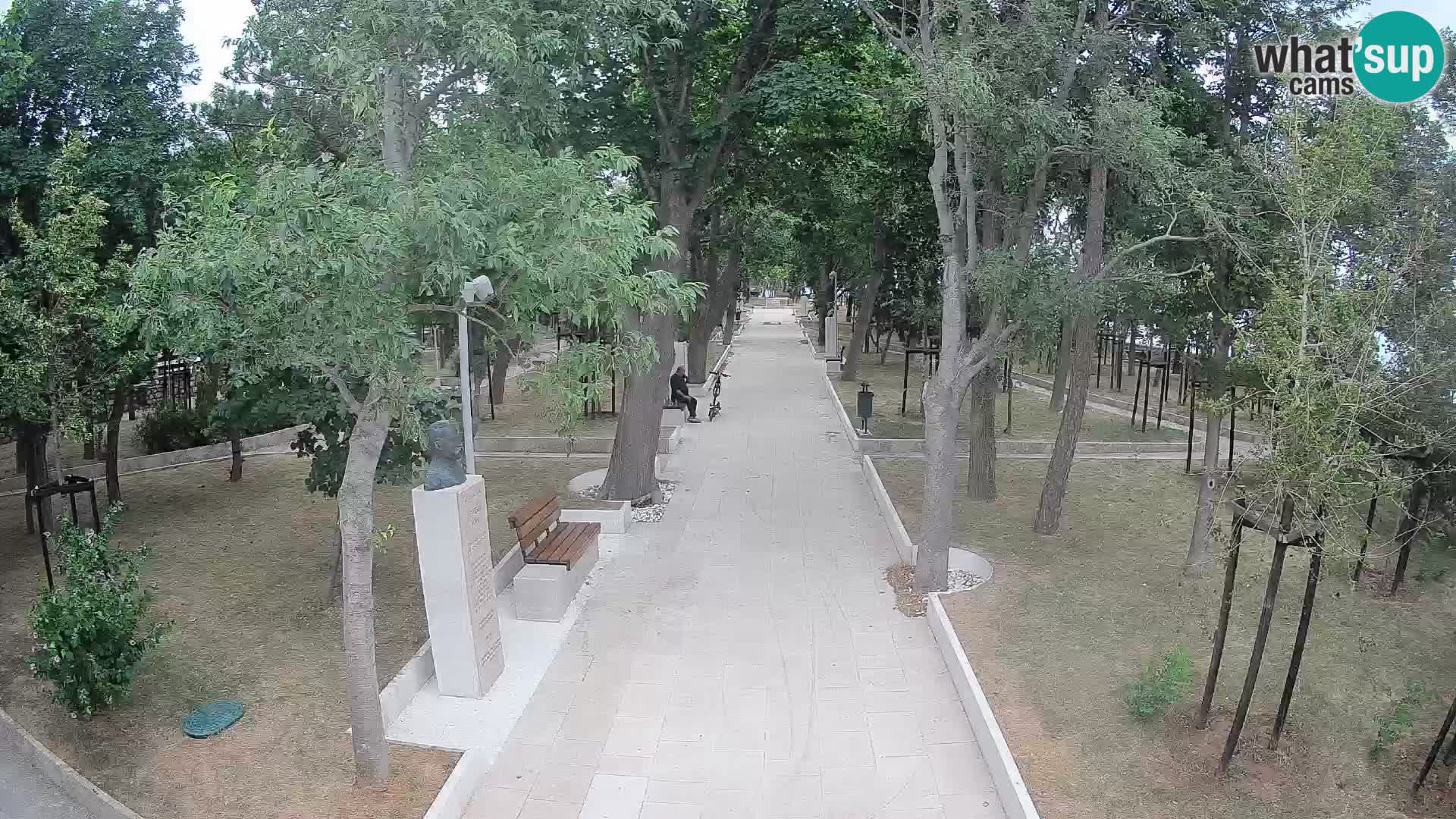 Webcam Parco degli Scrittori Segna – Diretta sul Mare