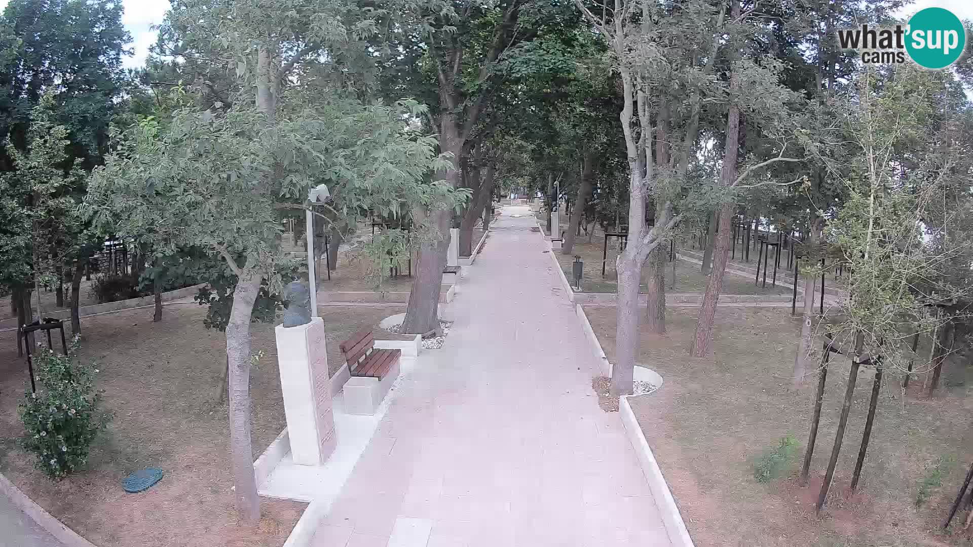 Webcam Schriftstellerpark Senj – Live am Meer