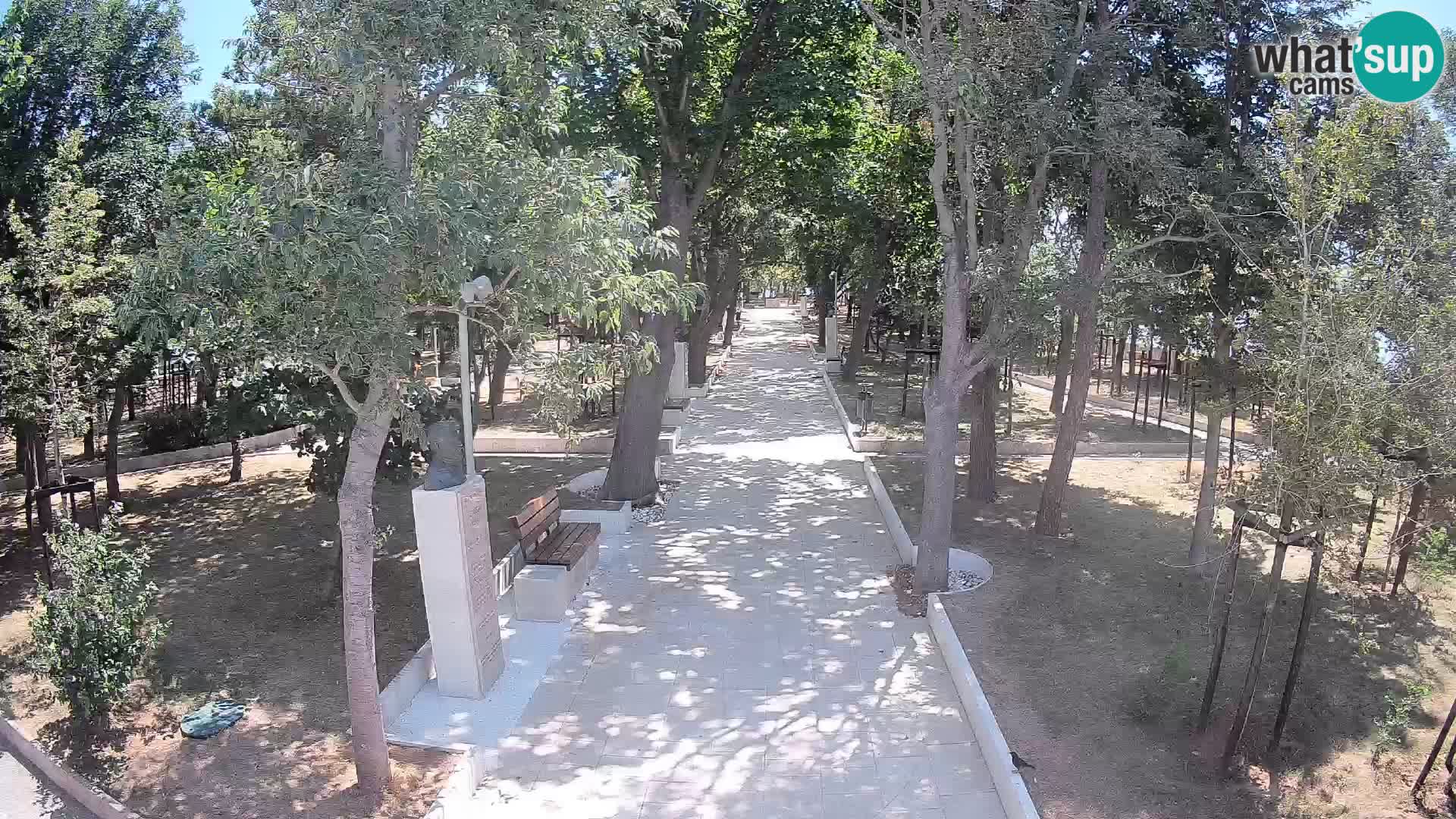 Webcam Parco degli Scrittori Segna – Diretta sul Mare