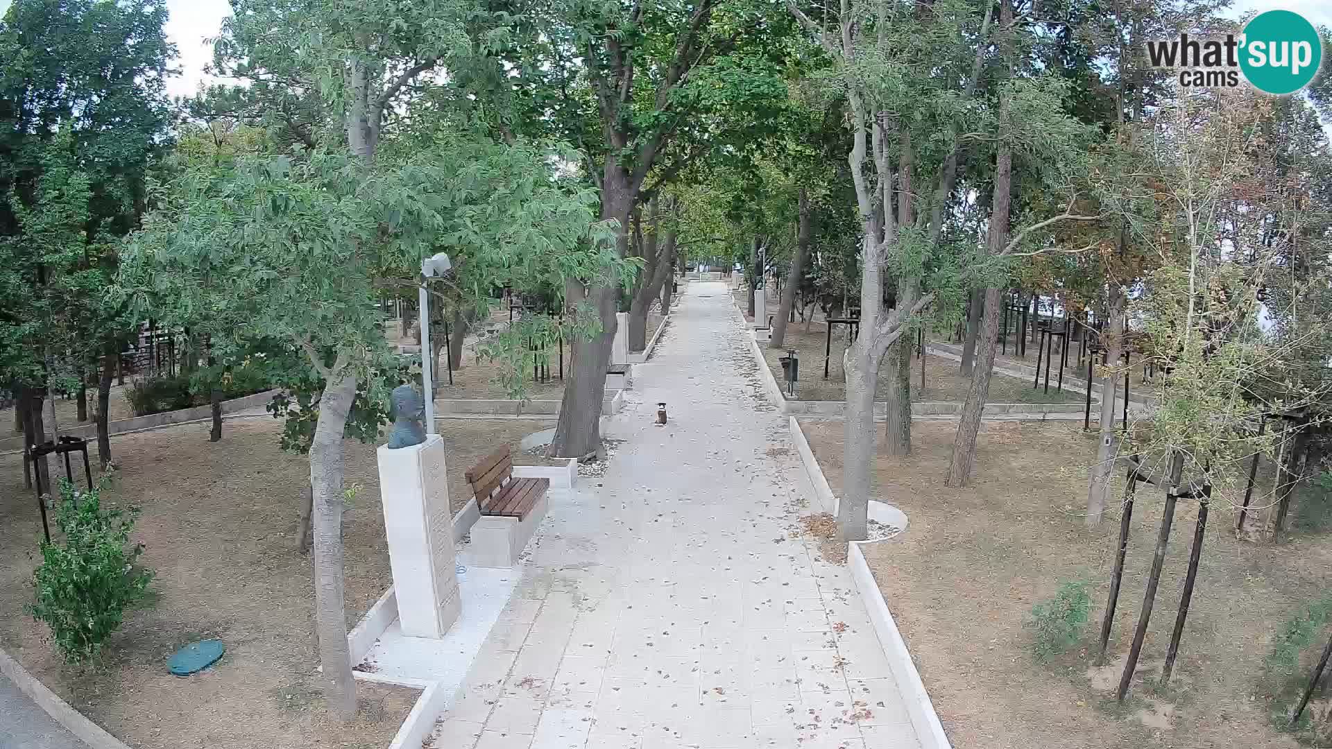 Webcam Schriftstellerpark Senj – Live am Meer
