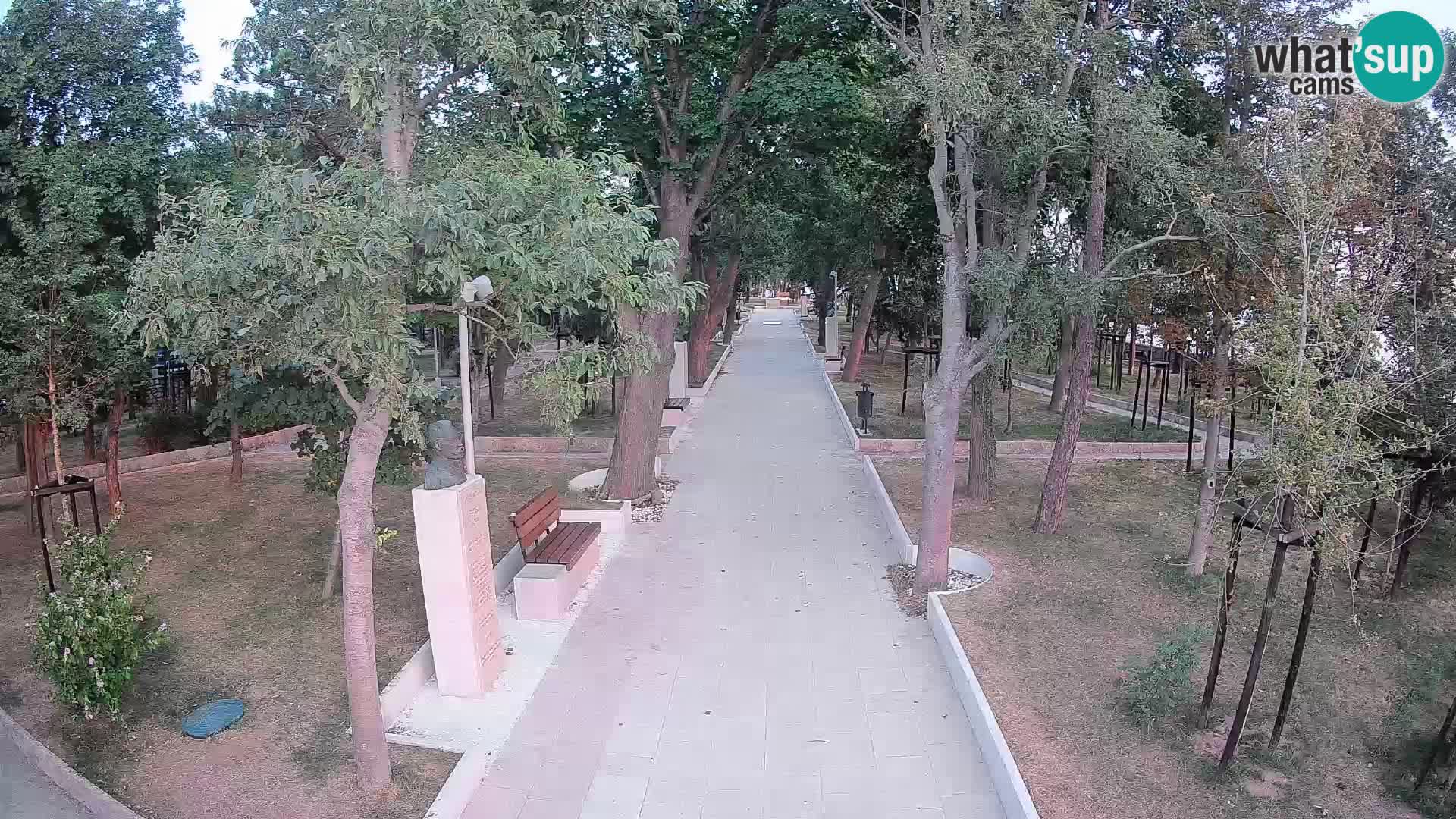 Webcam Parco degli Scrittori Segna – Diretta sul Mare