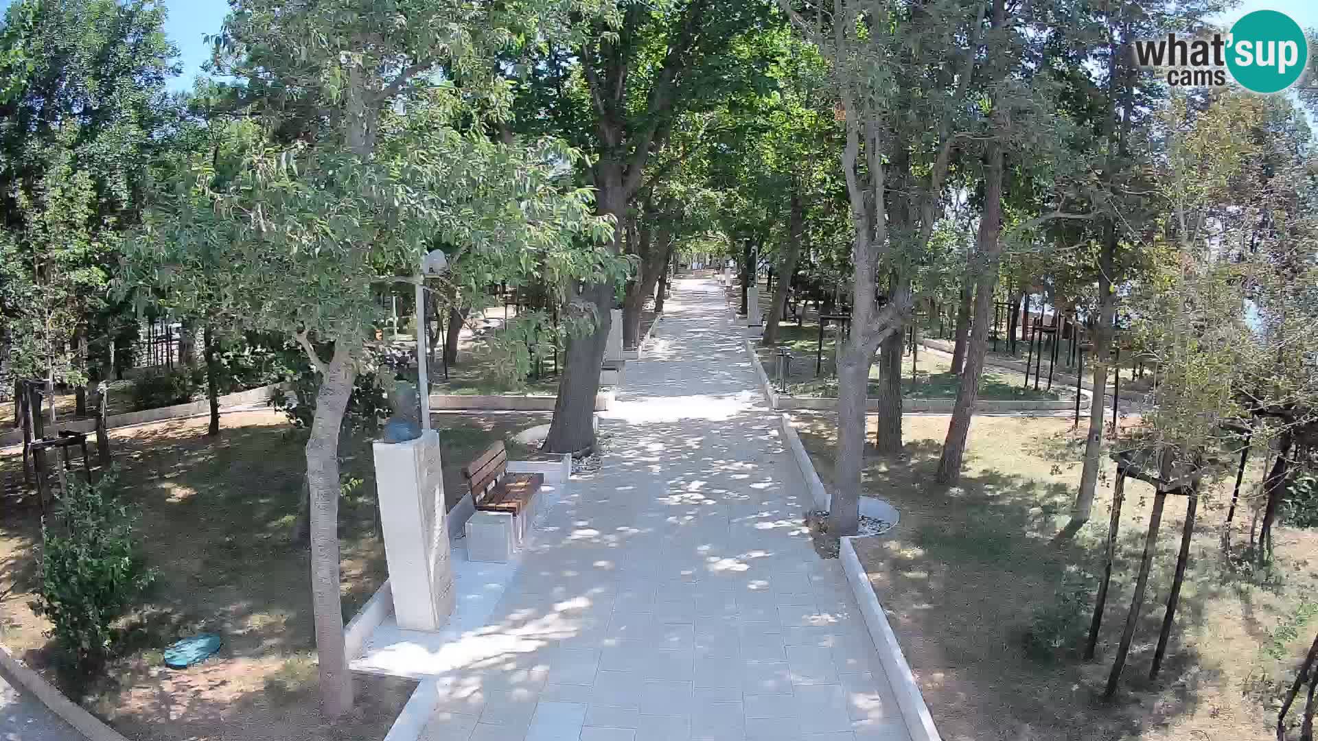 Webcam Parco degli Scrittori Segna – Diretta sul Mare