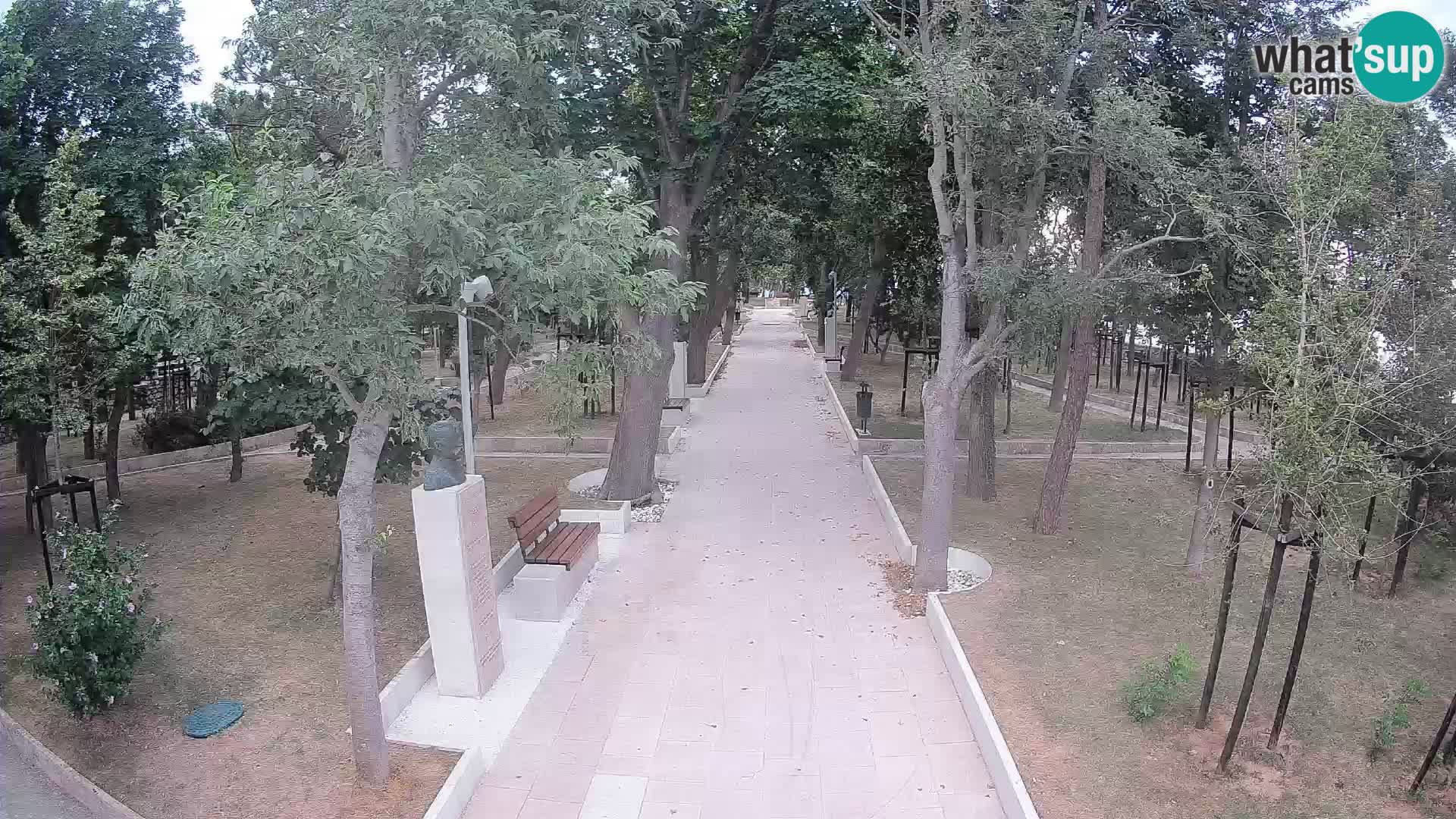Webcam Parco degli Scrittori Segna – Diretta sul Mare