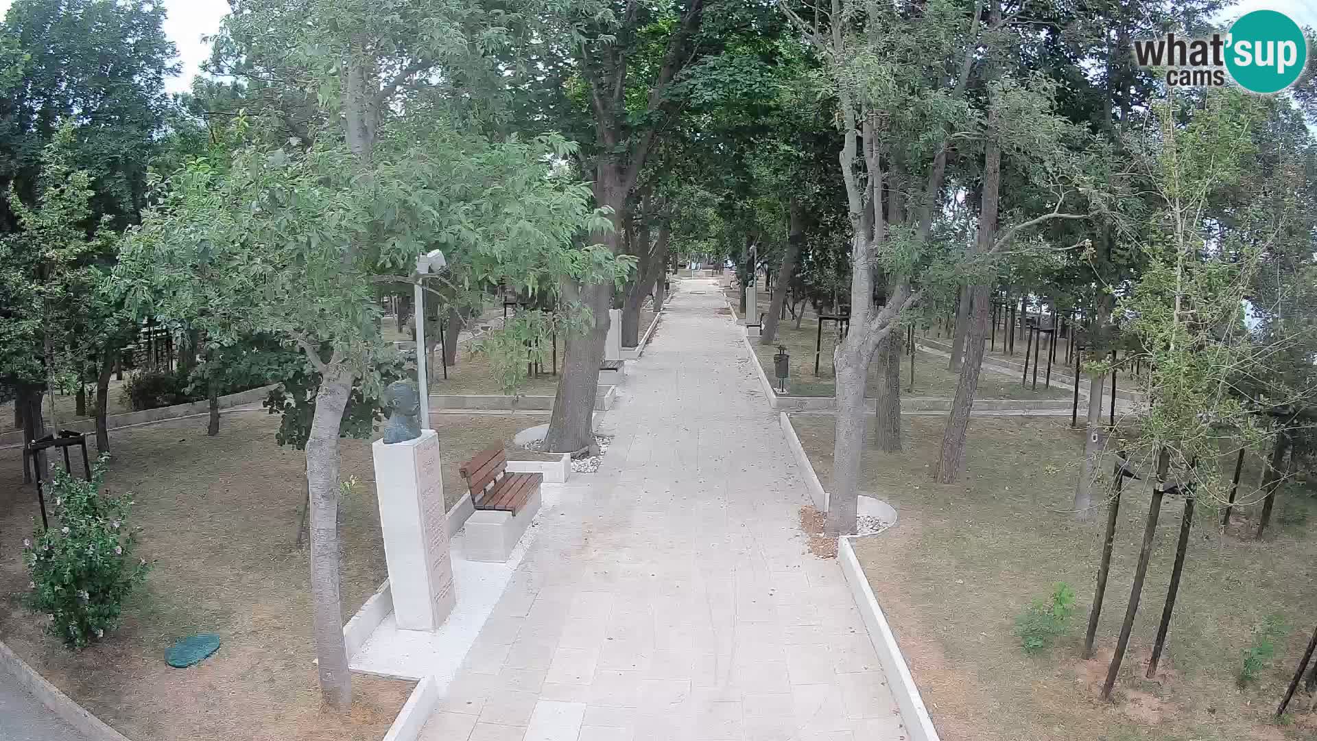 Webcam Parco degli Scrittori Segna – Diretta sul Mare