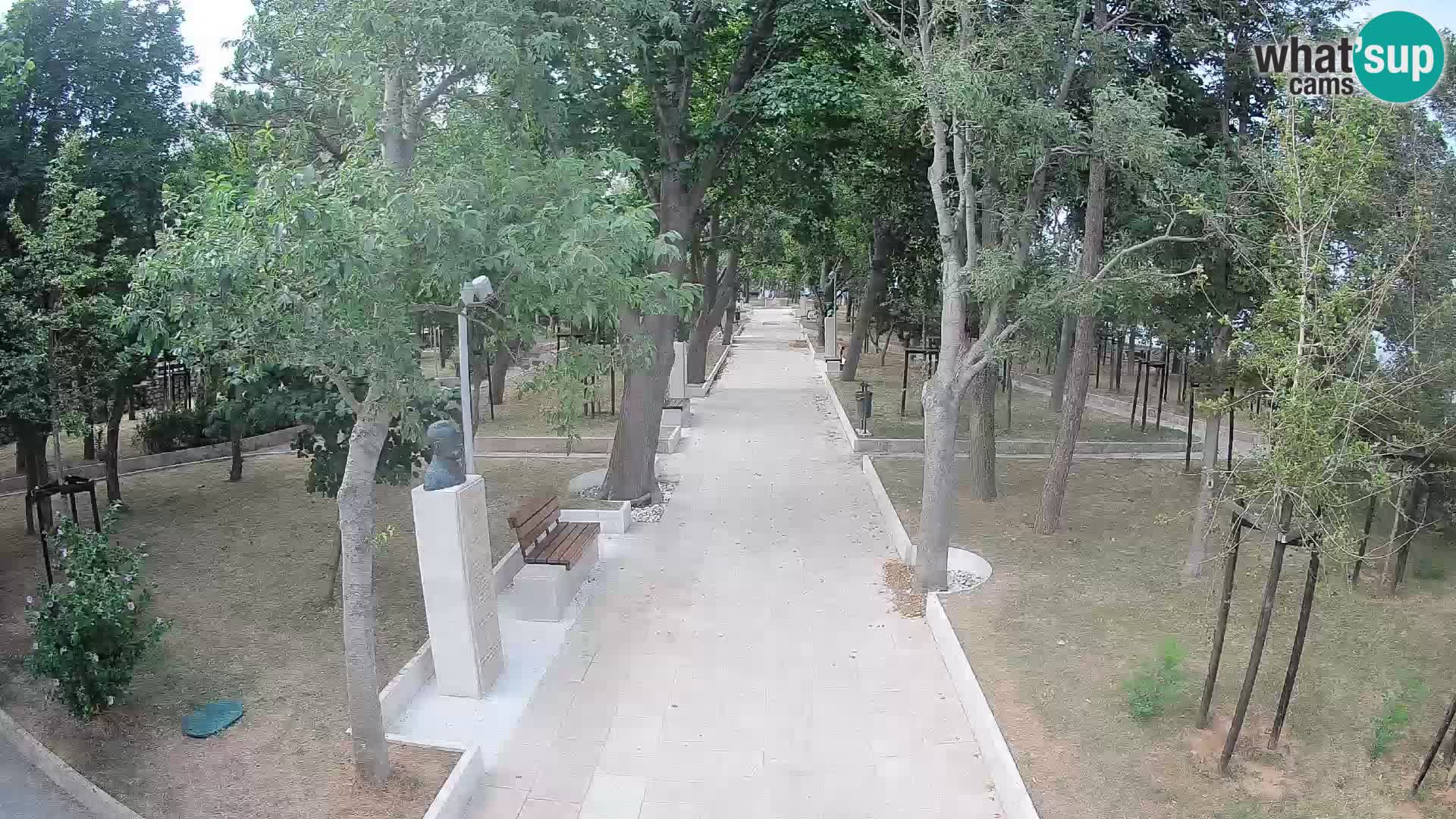 Webcam Parco degli Scrittori Segna – Diretta sul Mare