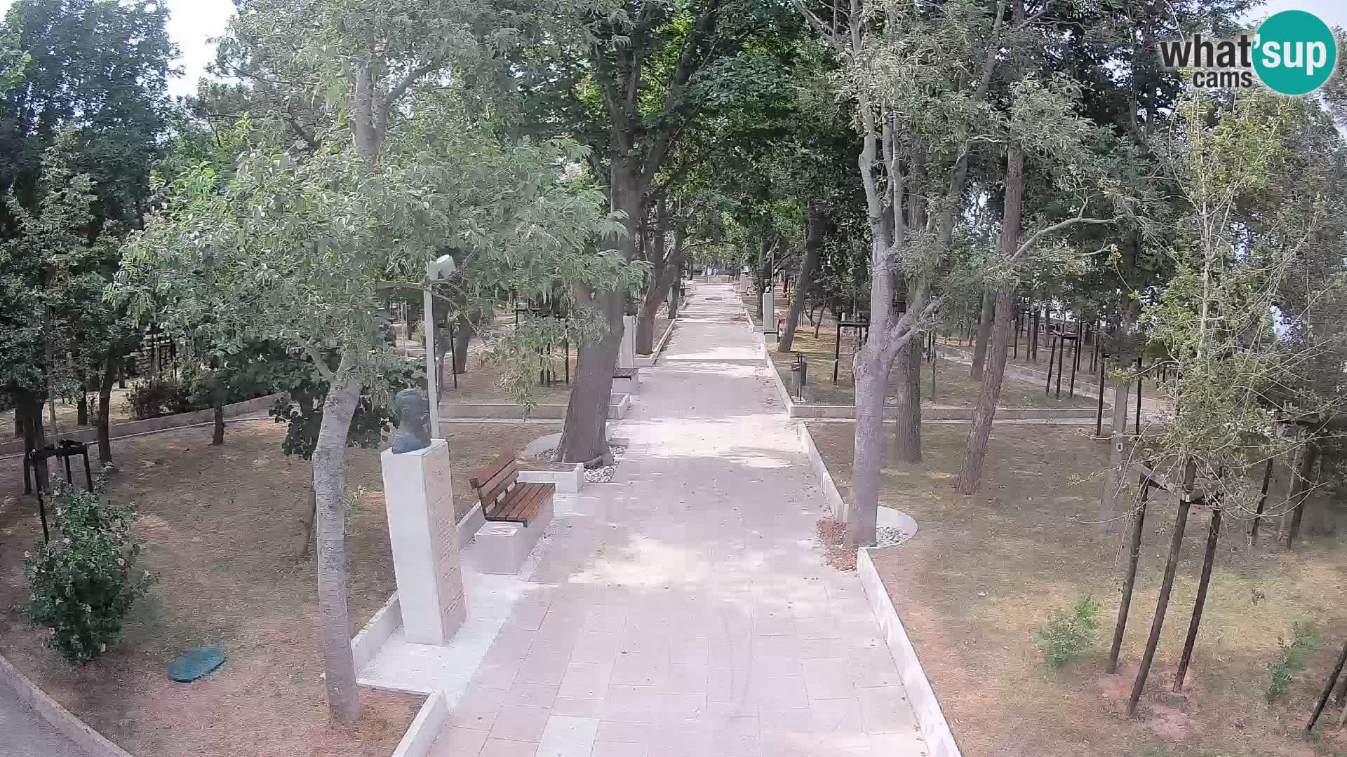Webcam Parco degli Scrittori Segna – Diretta sul Mare