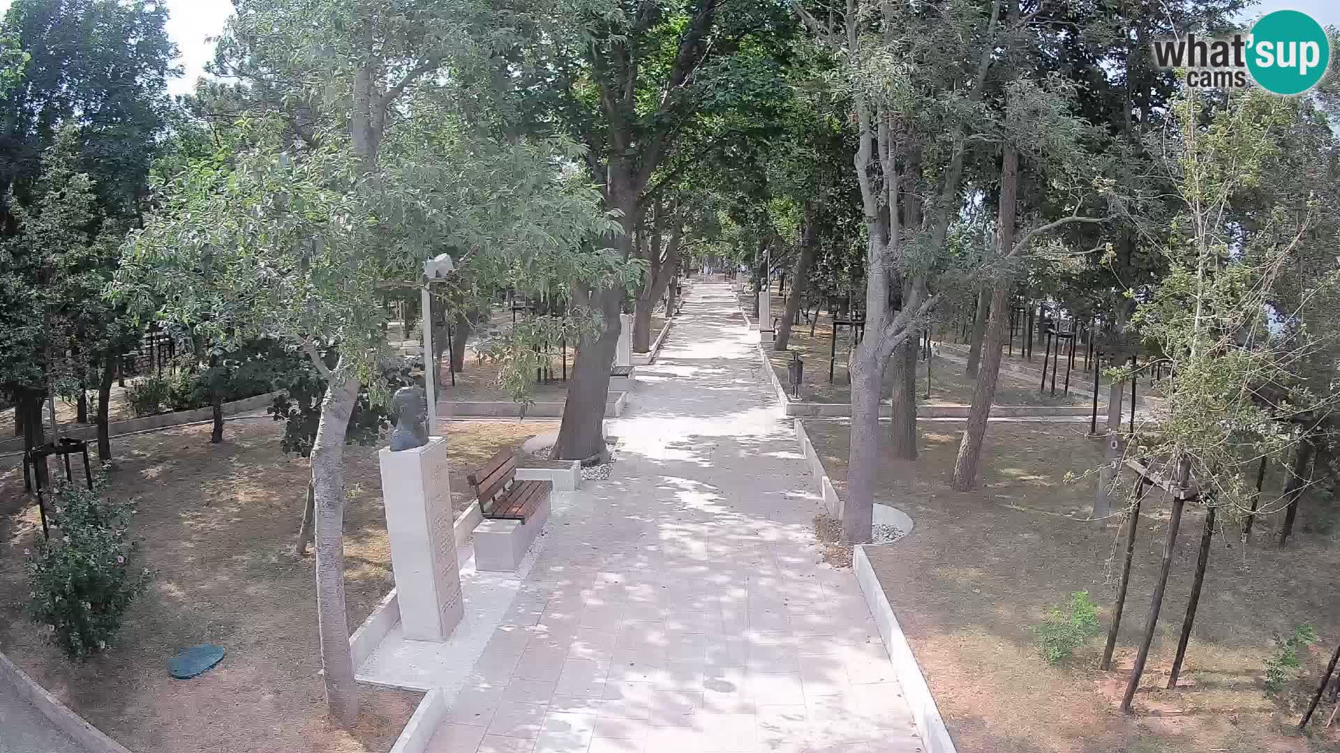 Webcam Parco degli Scrittori Segna – Diretta sul Mare