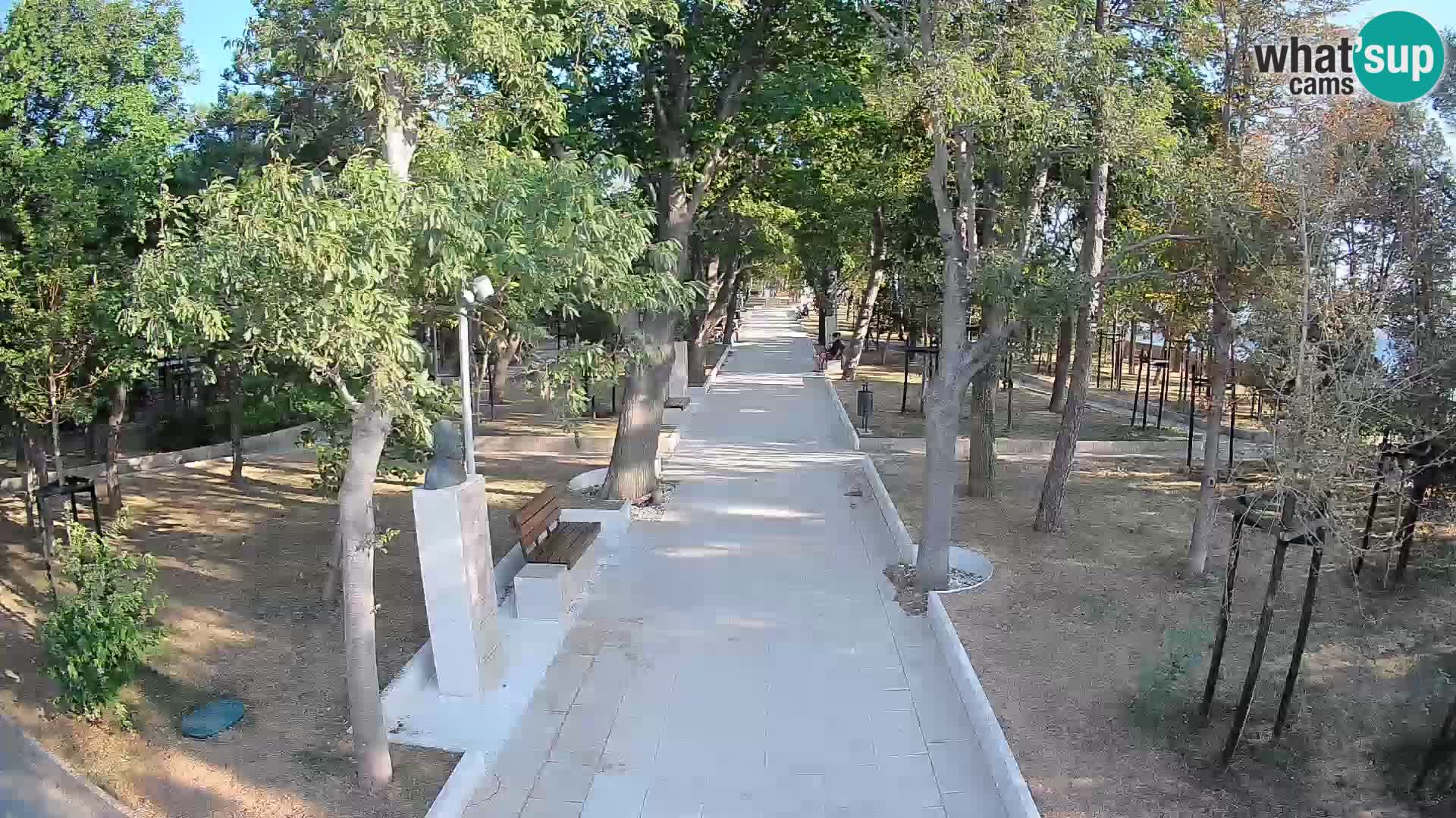 Webcam Parco degli Scrittori Segna – Diretta sul Mare