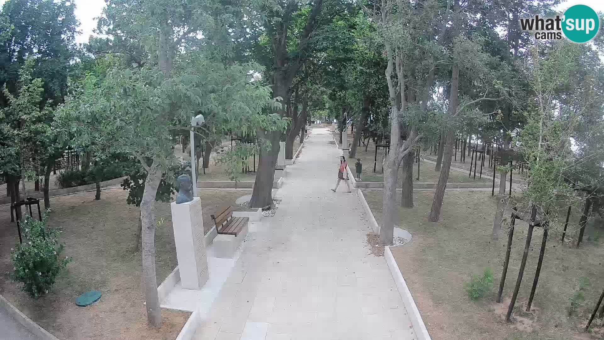 Webcam Parco degli Scrittori Segna – Diretta sul Mare