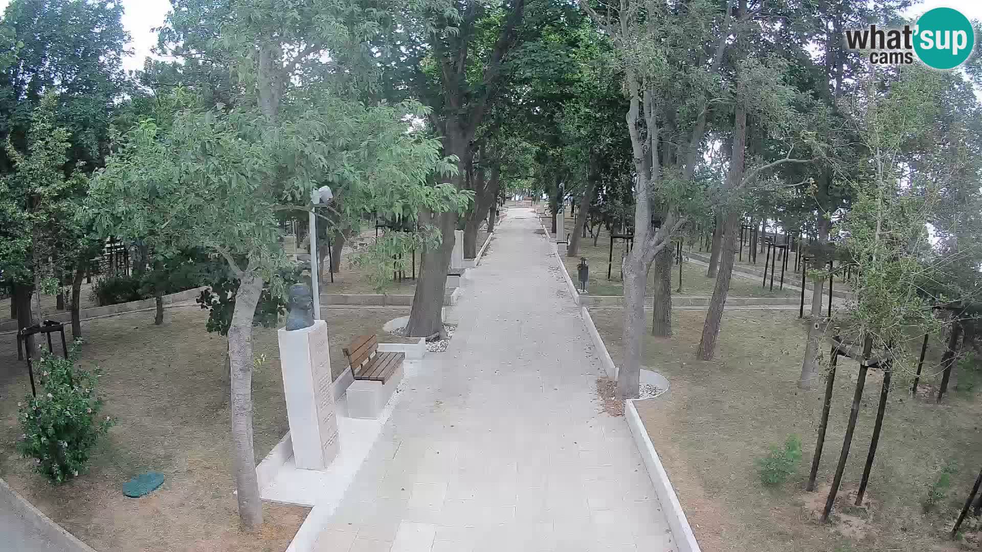 Webcam Parco degli Scrittori Segna – Diretta sul Mare