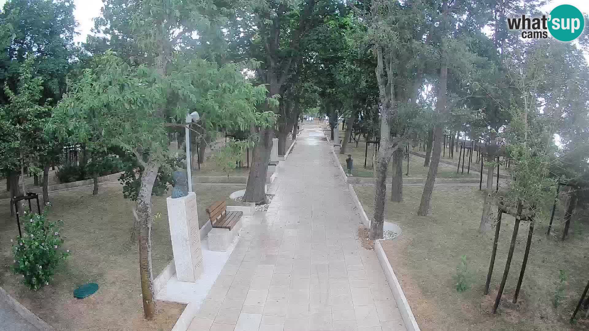 Webcam Parco degli Scrittori Segna – Diretta sul Mare