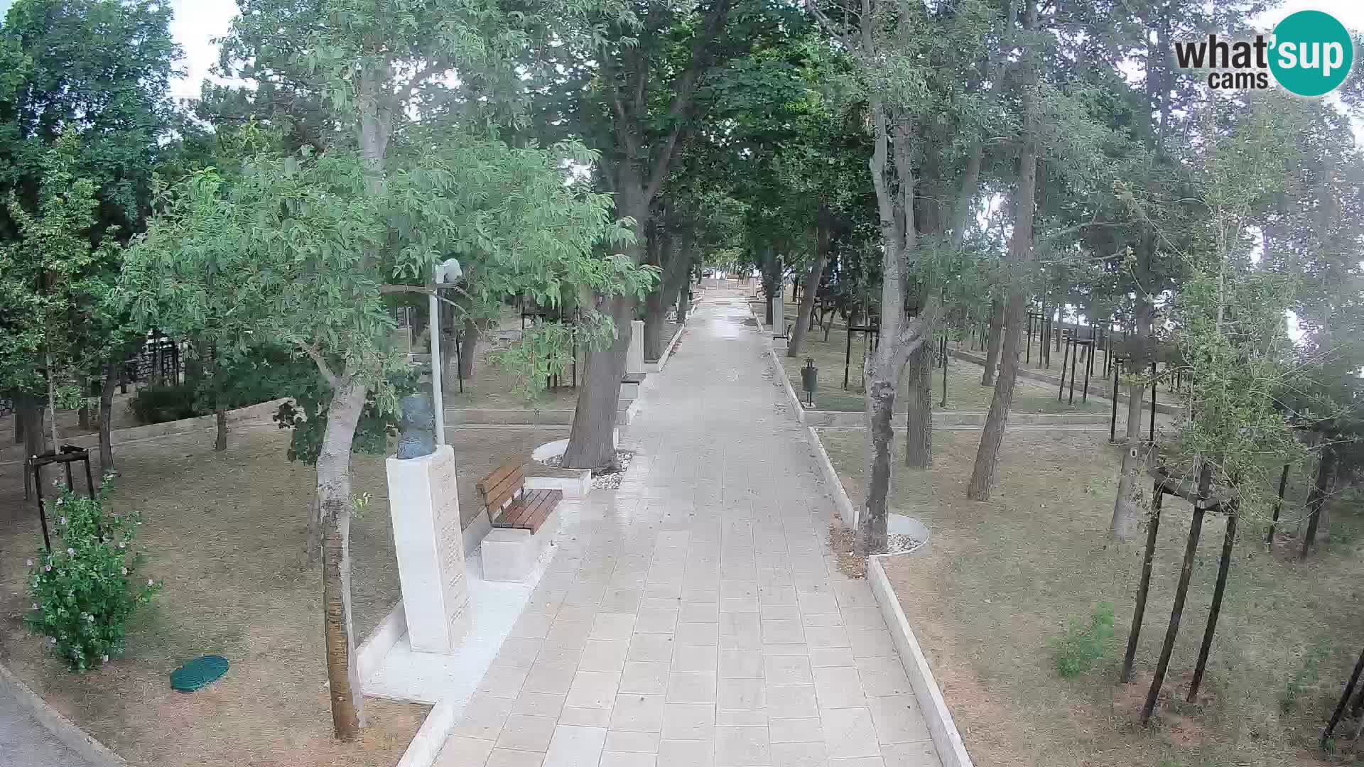 Webcam Parco degli Scrittori Segna – Diretta sul Mare