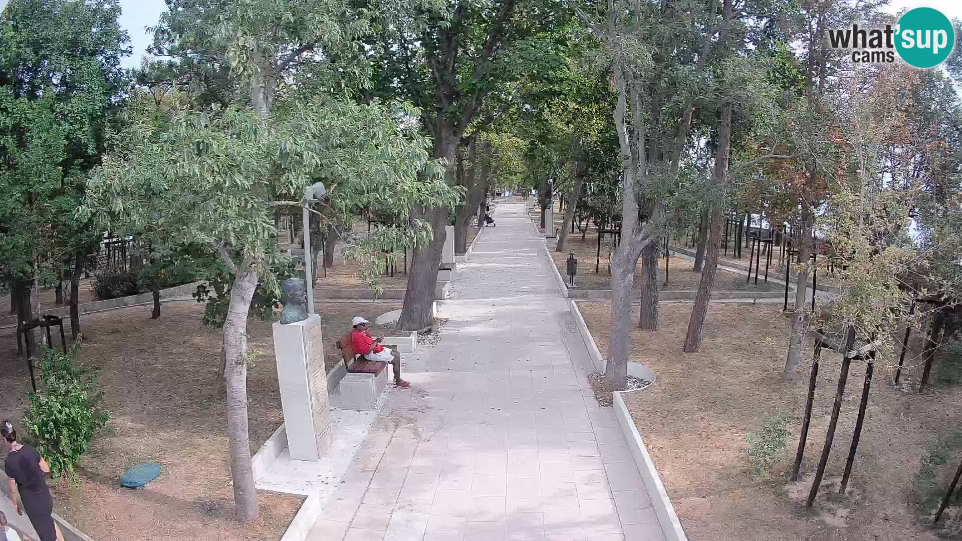 Webcam Parco degli Scrittori Segna – Diretta sul Mare