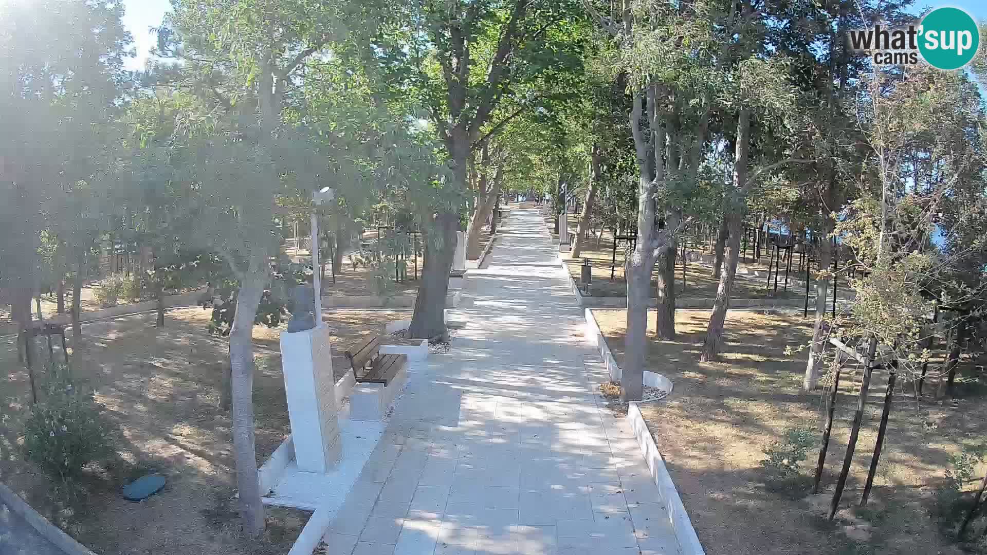 Webcam Parco degli Scrittori Segna – Diretta sul Mare