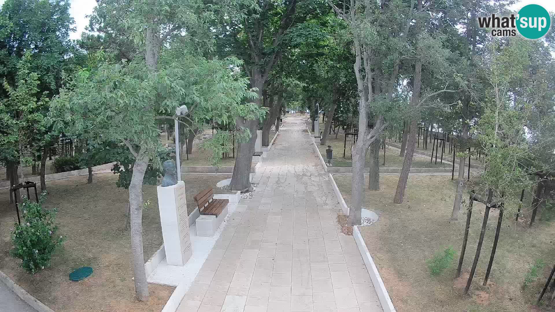Webcam Parco degli Scrittori Segna – Diretta sul Mare
