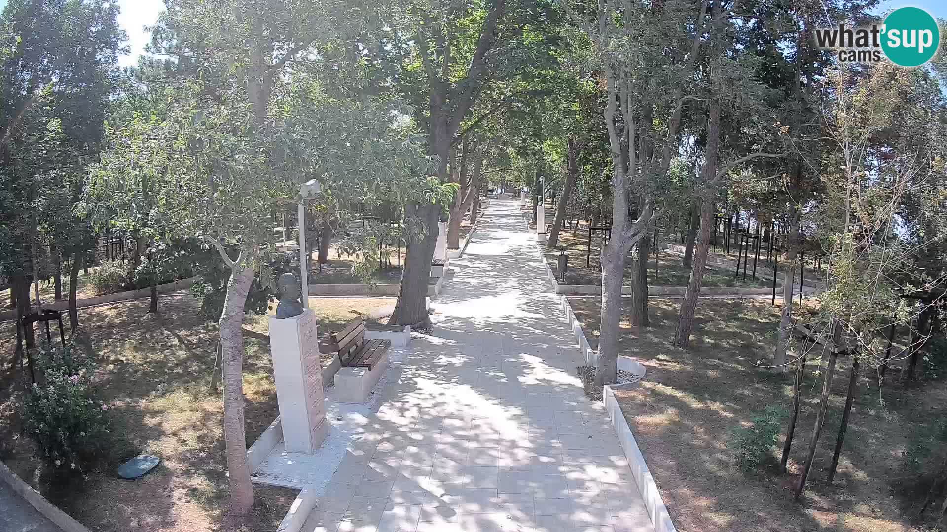 Webcam Parco degli Scrittori Segna – Diretta sul Mare