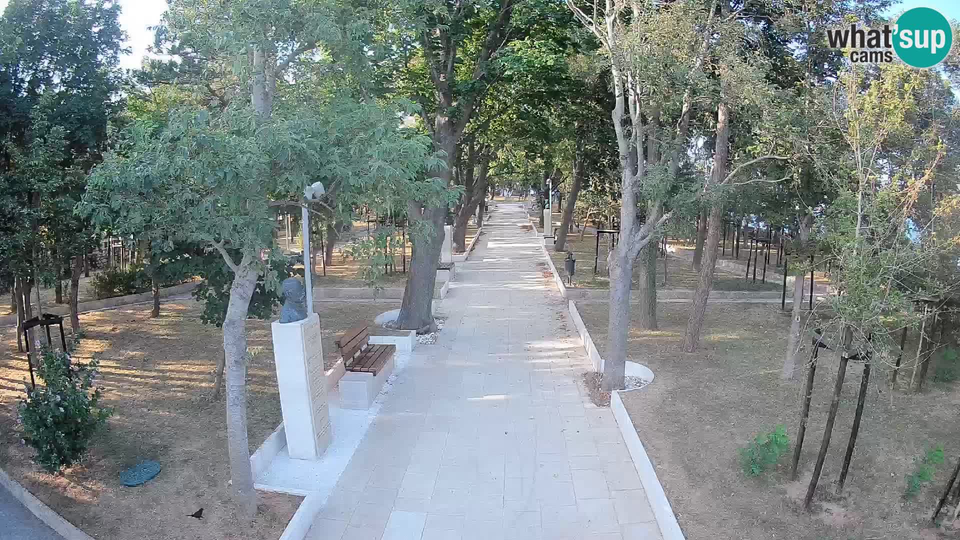 Webcam Parco degli Scrittori Segna – Diretta sul Mare