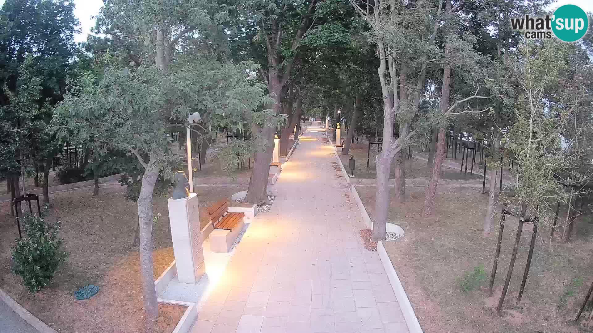 Webcam Parco degli Scrittori Segna – Diretta sul Mare