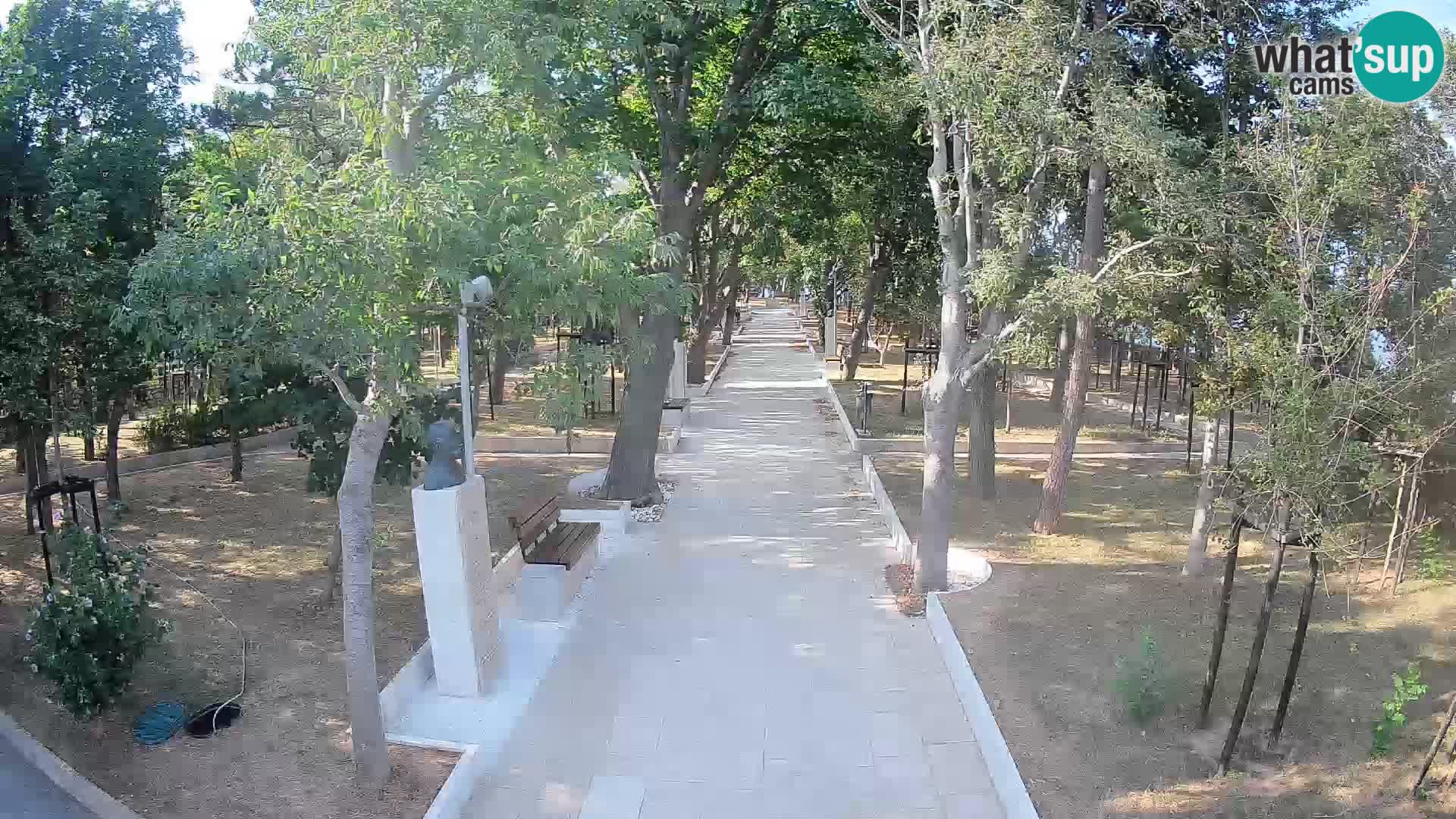 Webcam Parco degli Scrittori Segna – Diretta sul Mare