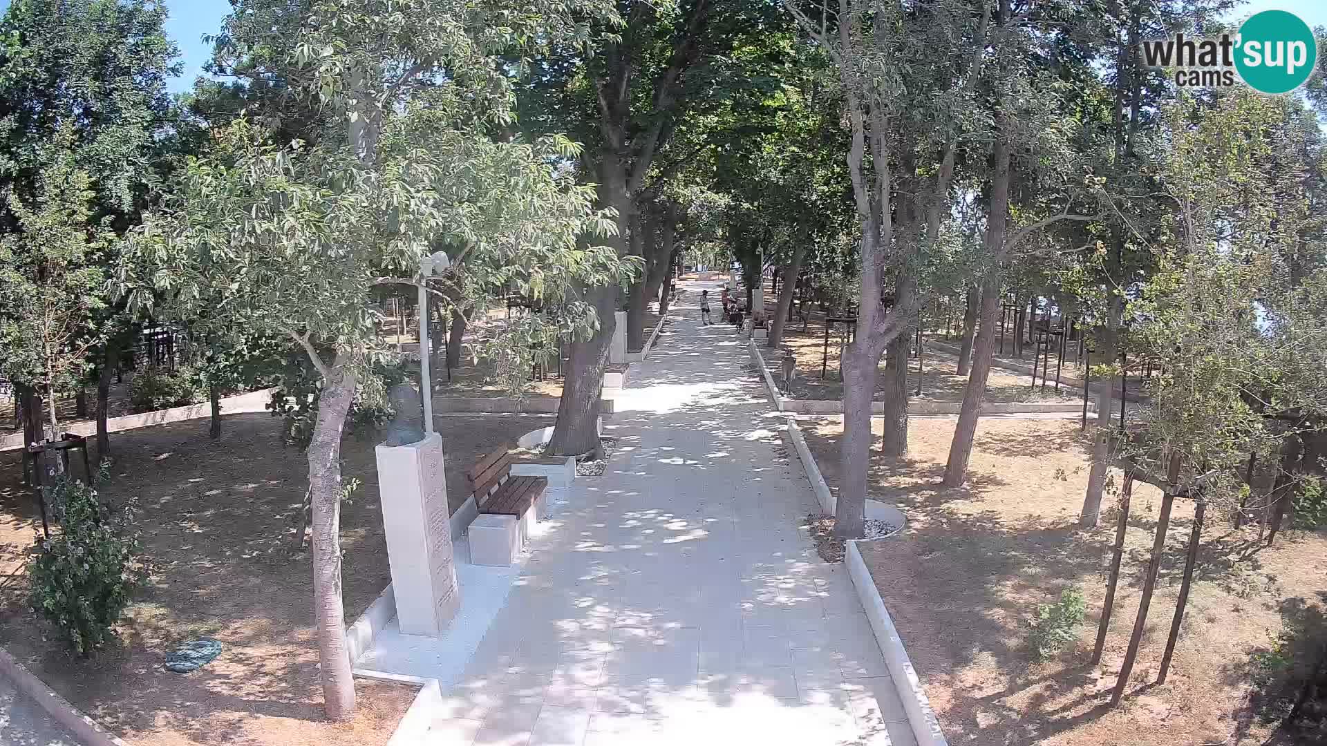 Webcam Parco degli Scrittori Segna – Diretta sul Mare