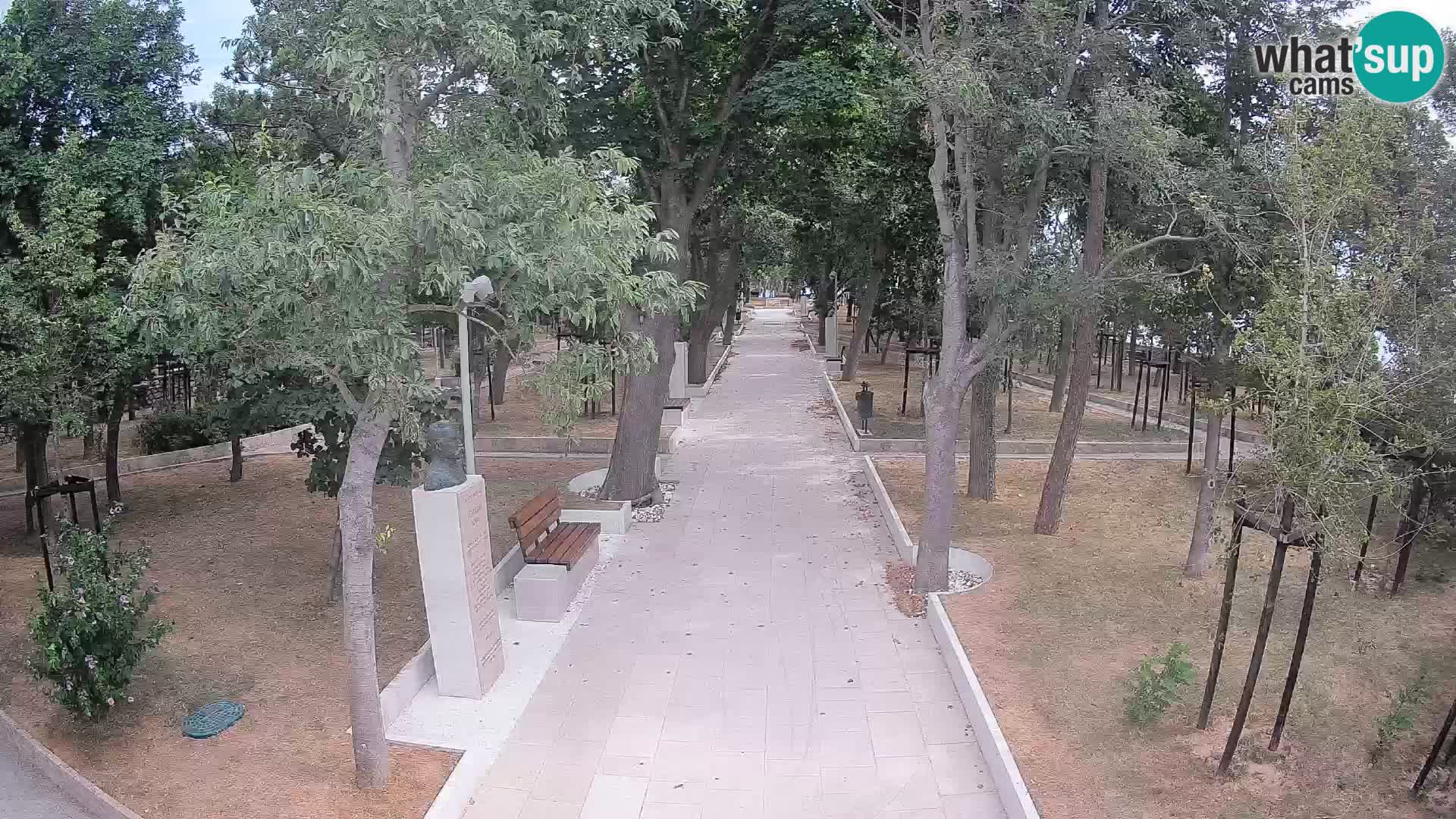 Webcam Schriftstellerpark Senj – Live am Meer
