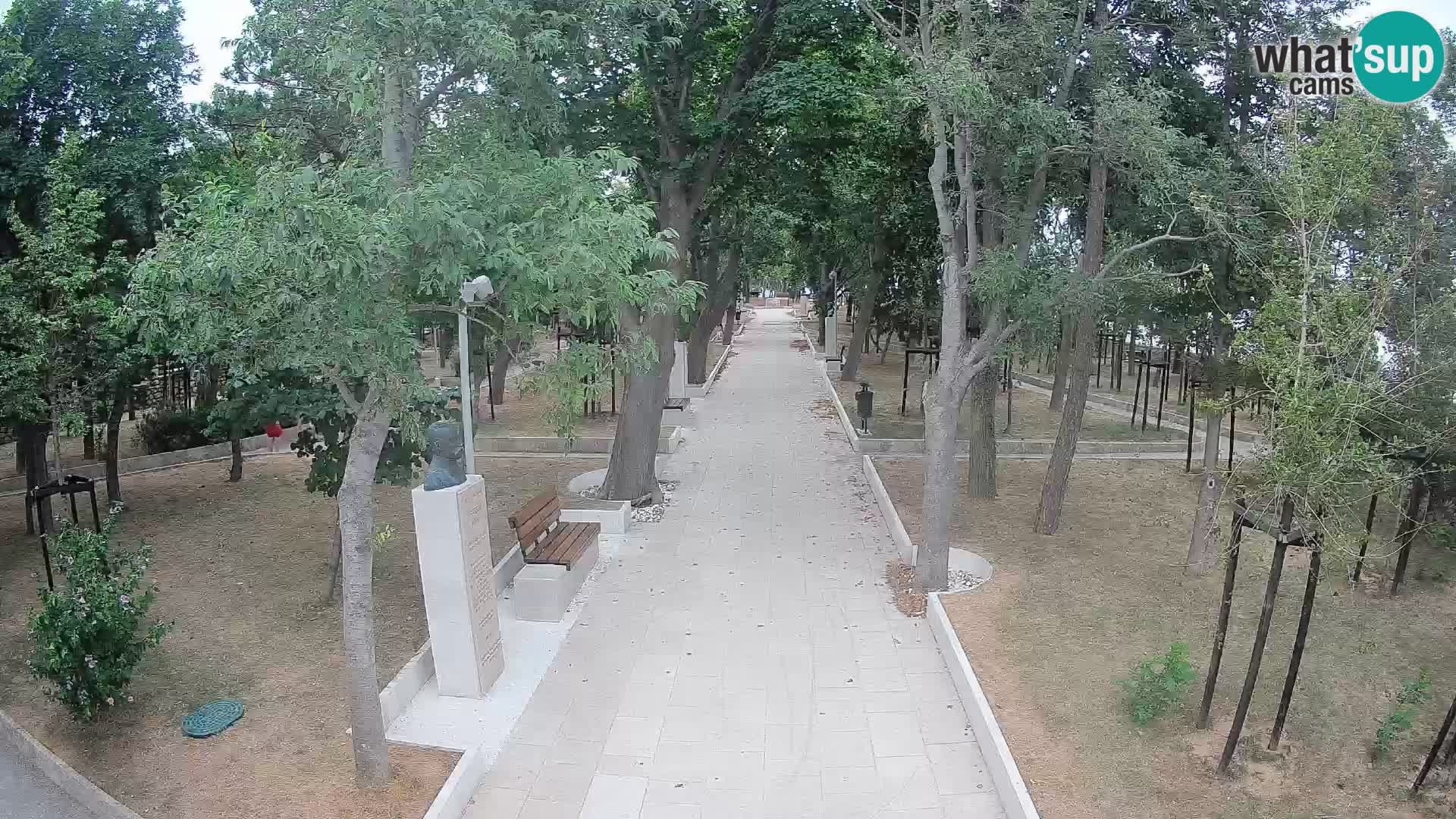 Webcam Parco degli Scrittori Segna – Diretta sul Mare