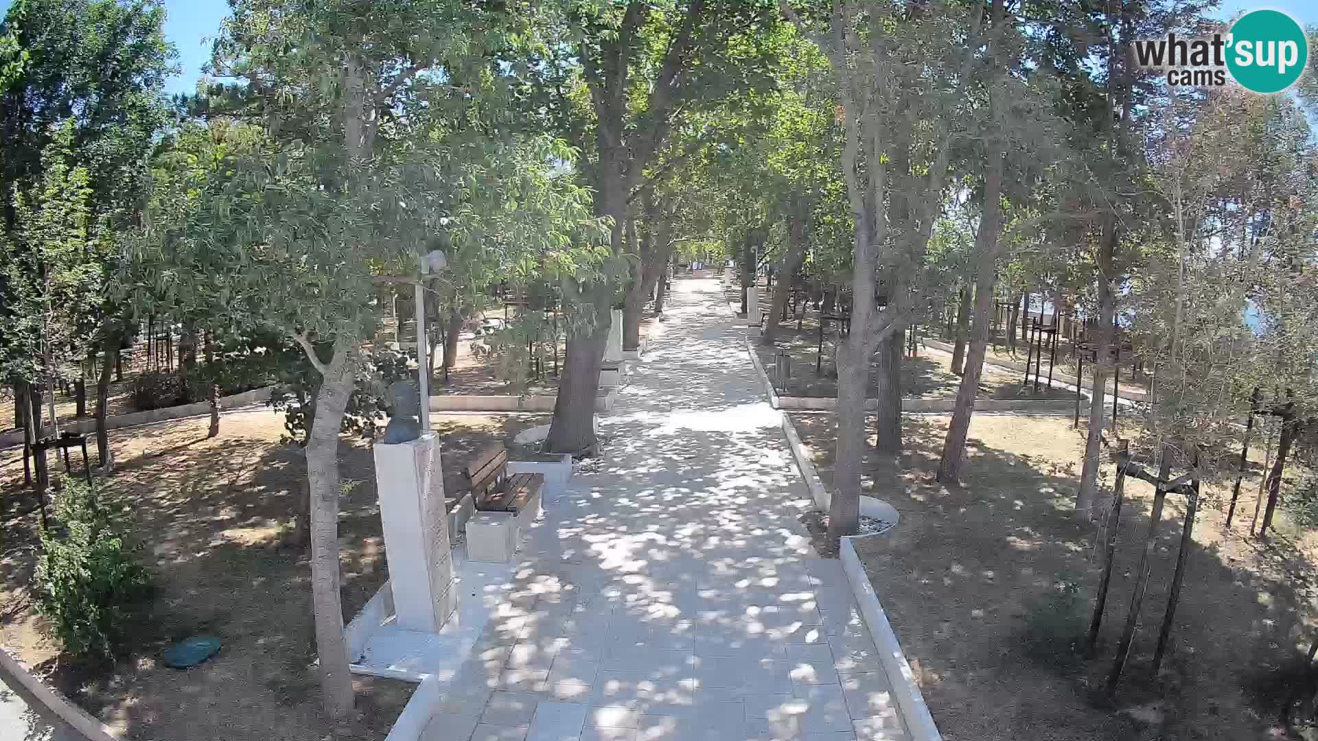 Webcam Parco degli Scrittori Segna – Diretta sul Mare