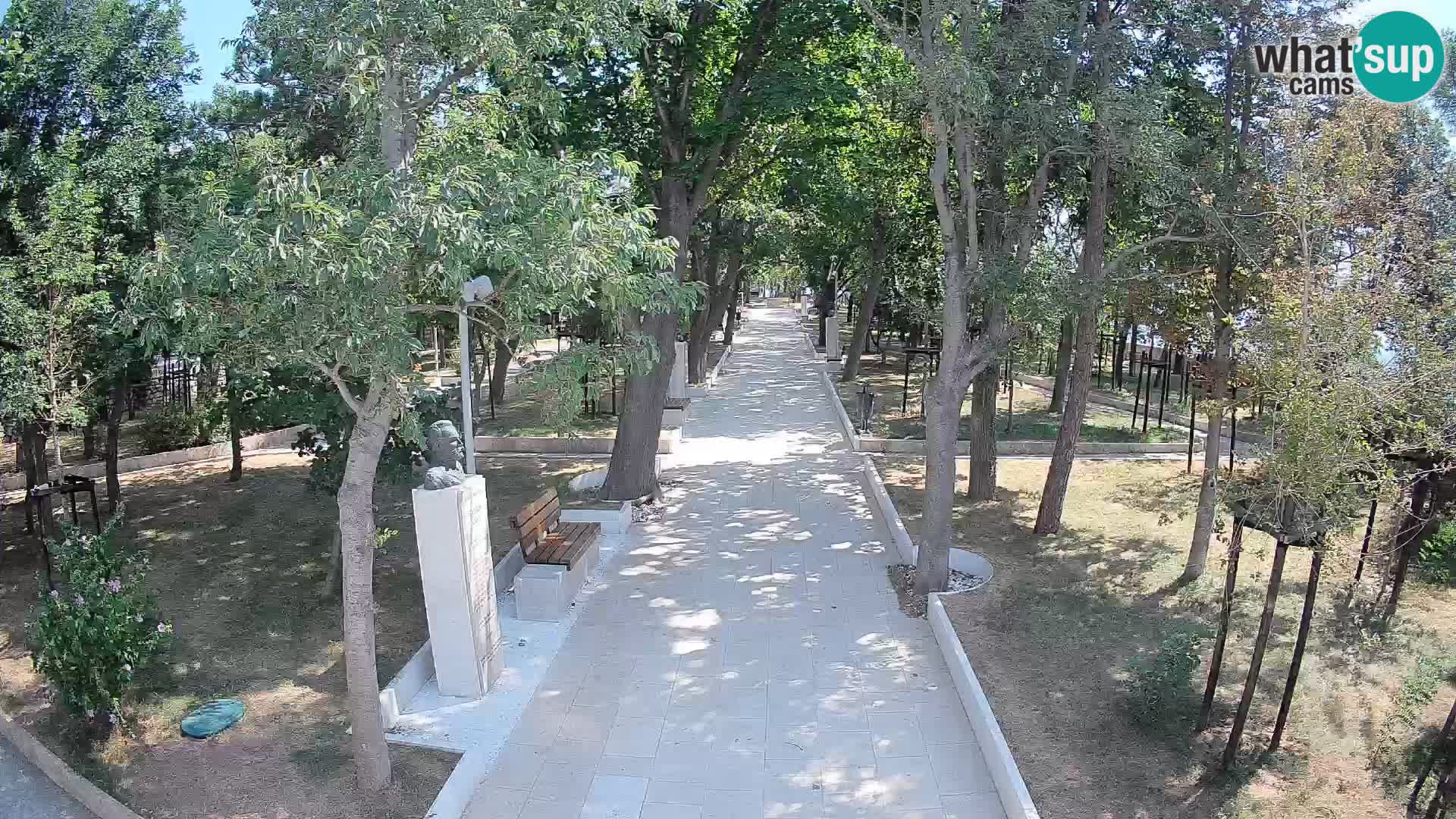 Webcam Parco degli Scrittori Segna – Diretta sul Mare