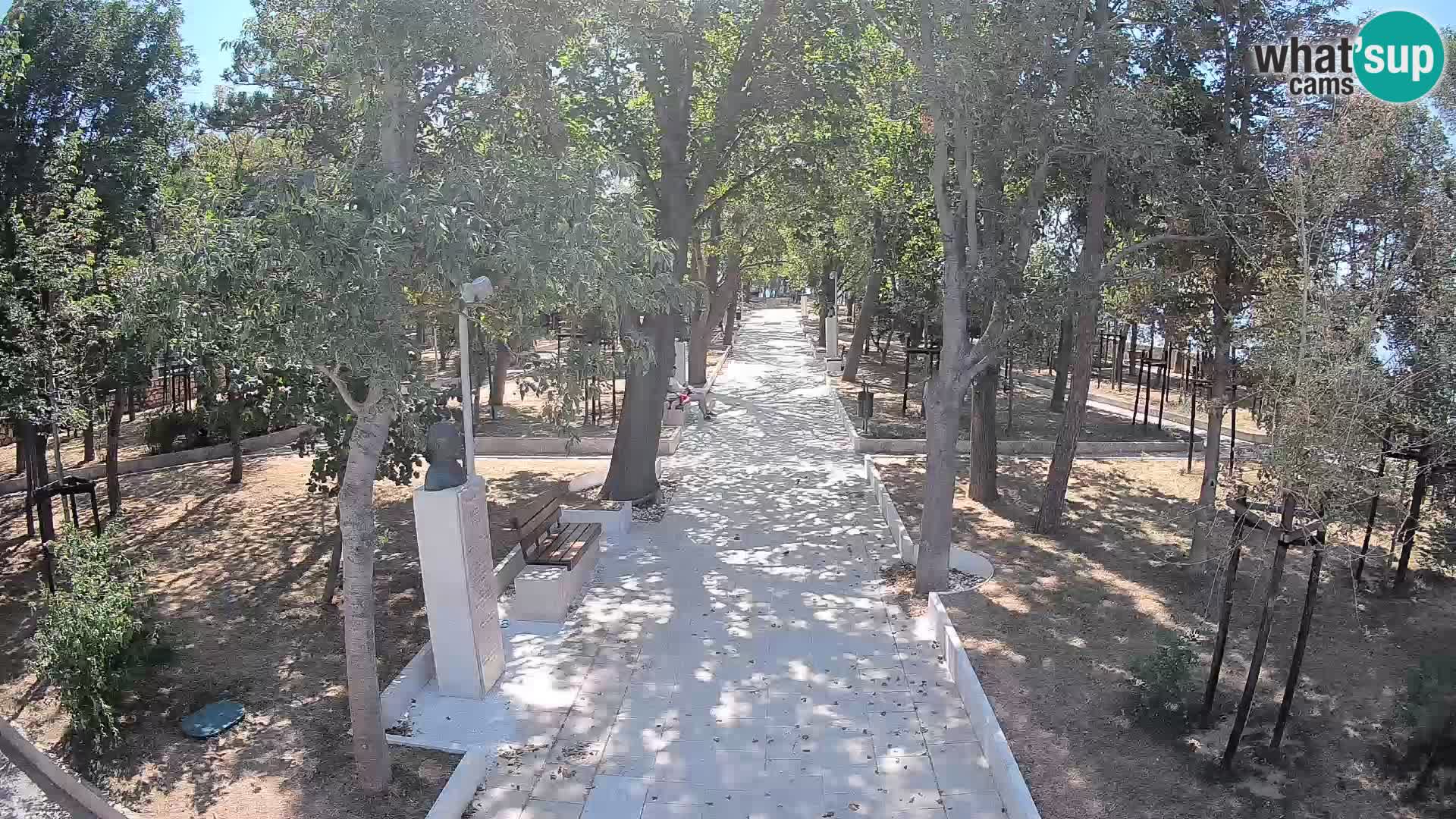 Webcam Parco degli Scrittori Segna – Diretta sul Mare