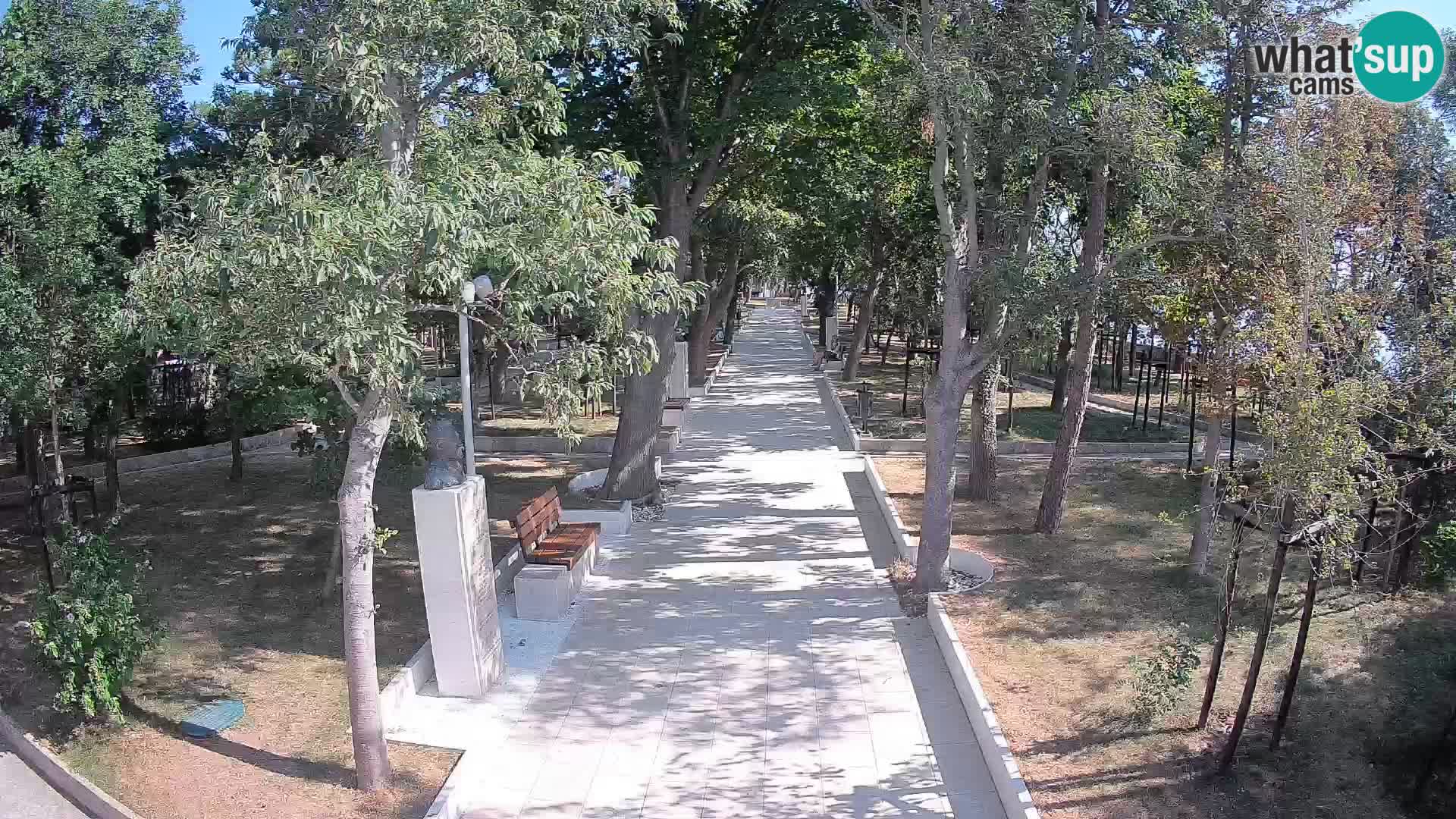 Webcam Parco degli Scrittori Segna – Diretta sul Mare