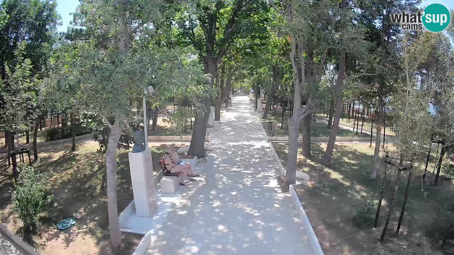 Webcam Parco degli Scrittori Segna – Diretta sul Mare