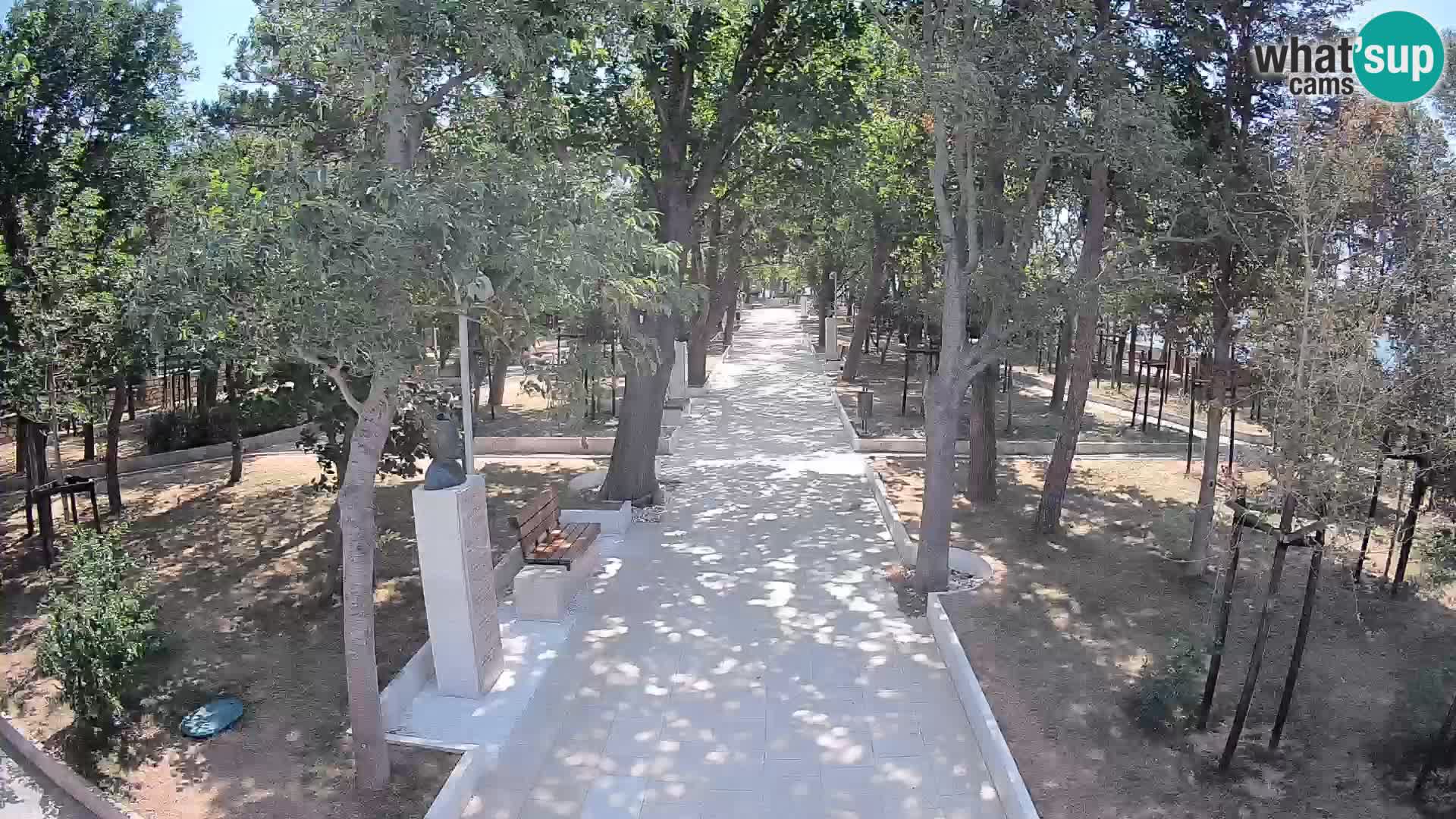 Webcam Parco degli Scrittori Segna – Diretta sul Mare