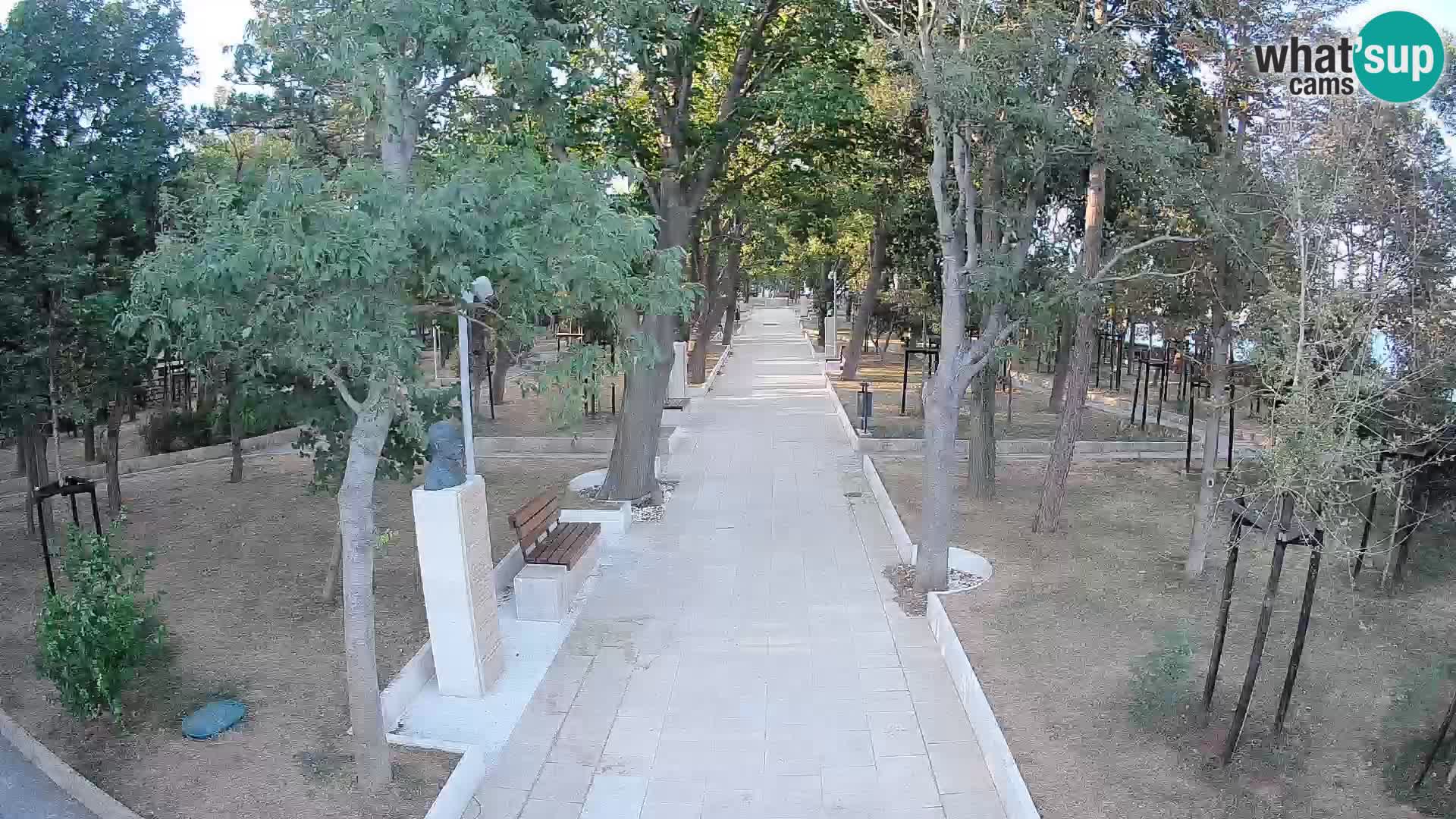 Webcam Parco degli Scrittori Segna – Diretta sul Mare