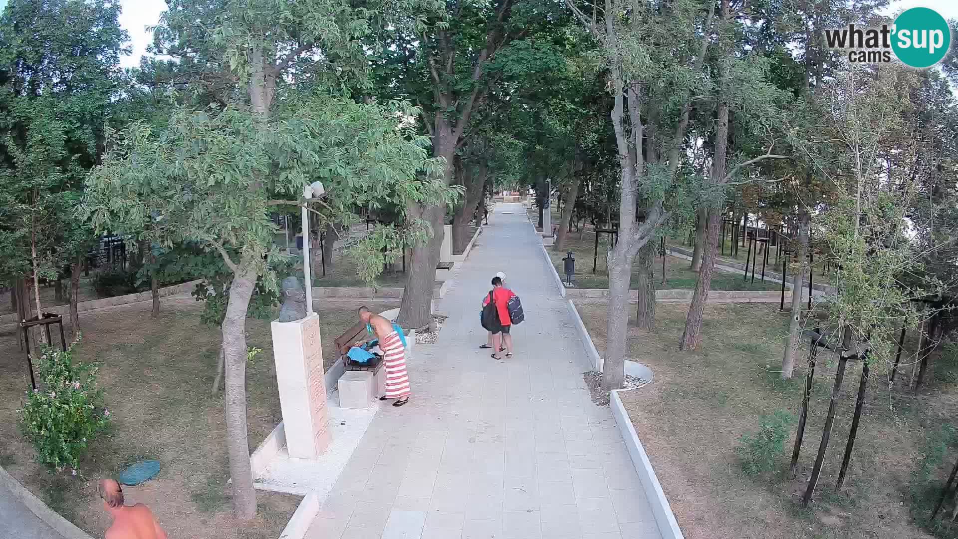 Webcam Parco degli Scrittori Segna – Diretta sul Mare