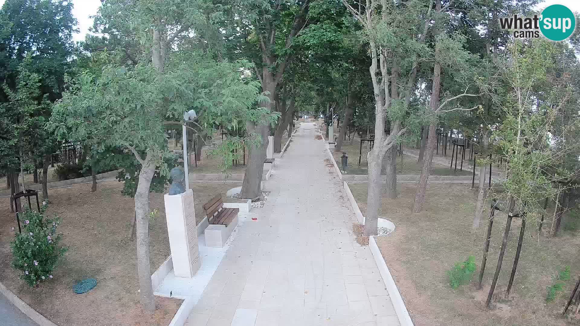 Webcam Schriftstellerpark Senj – Live am Meer